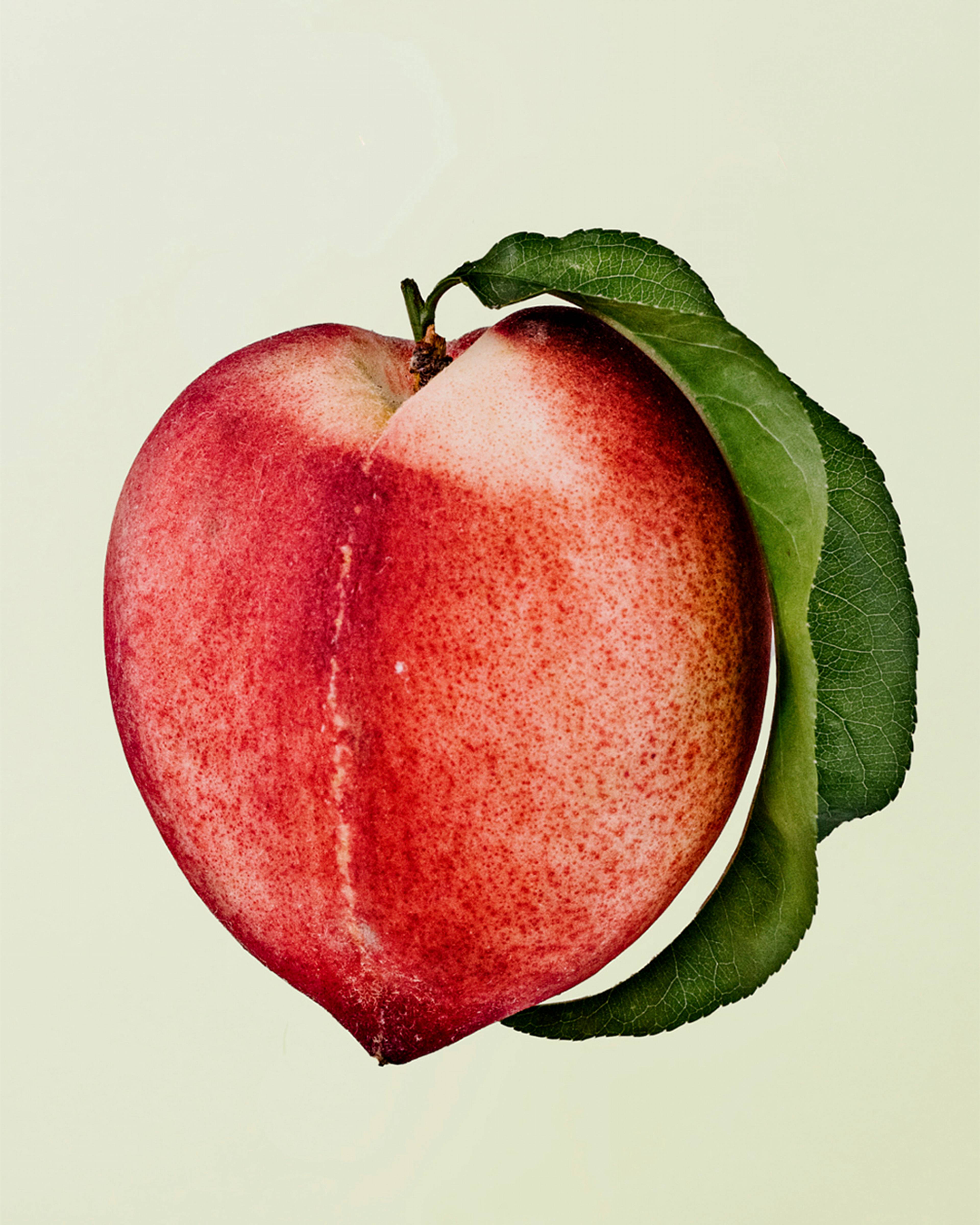 Images with caption alt text