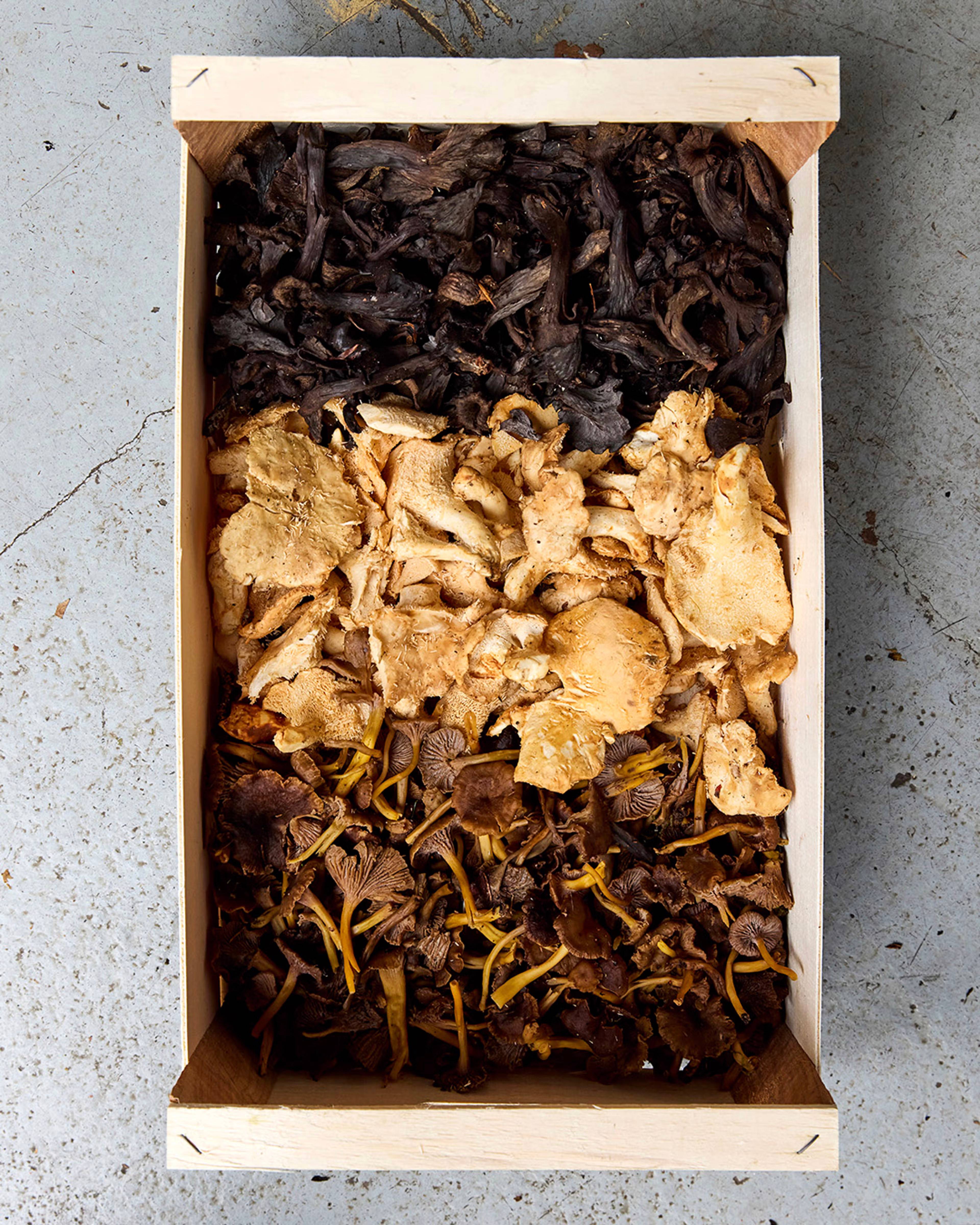 Season planner image