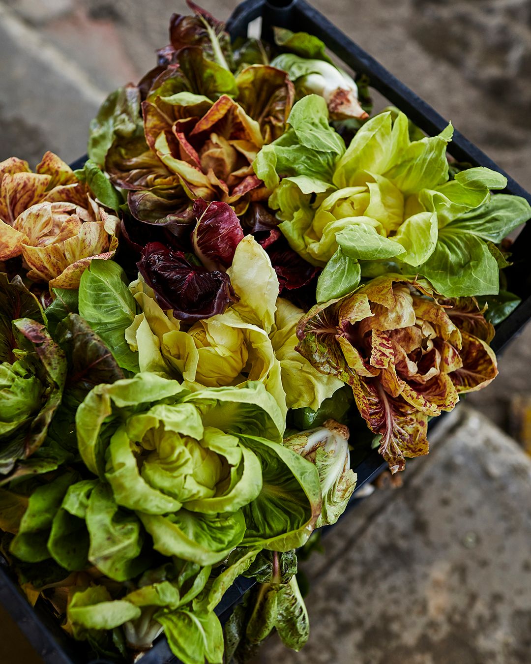 Season planner image