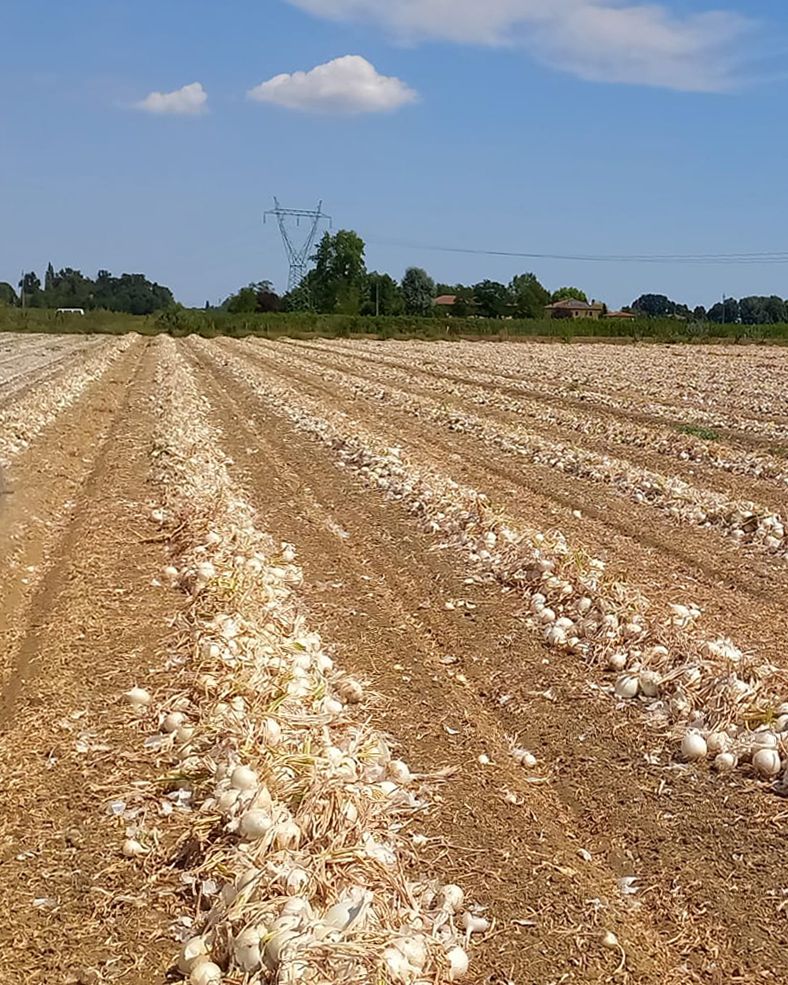 Season planner image