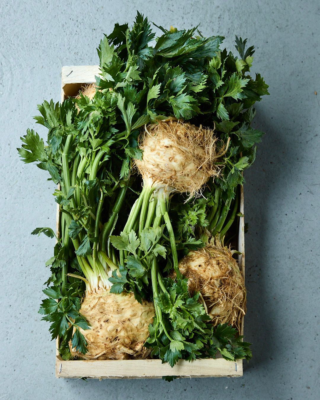 Season planner image