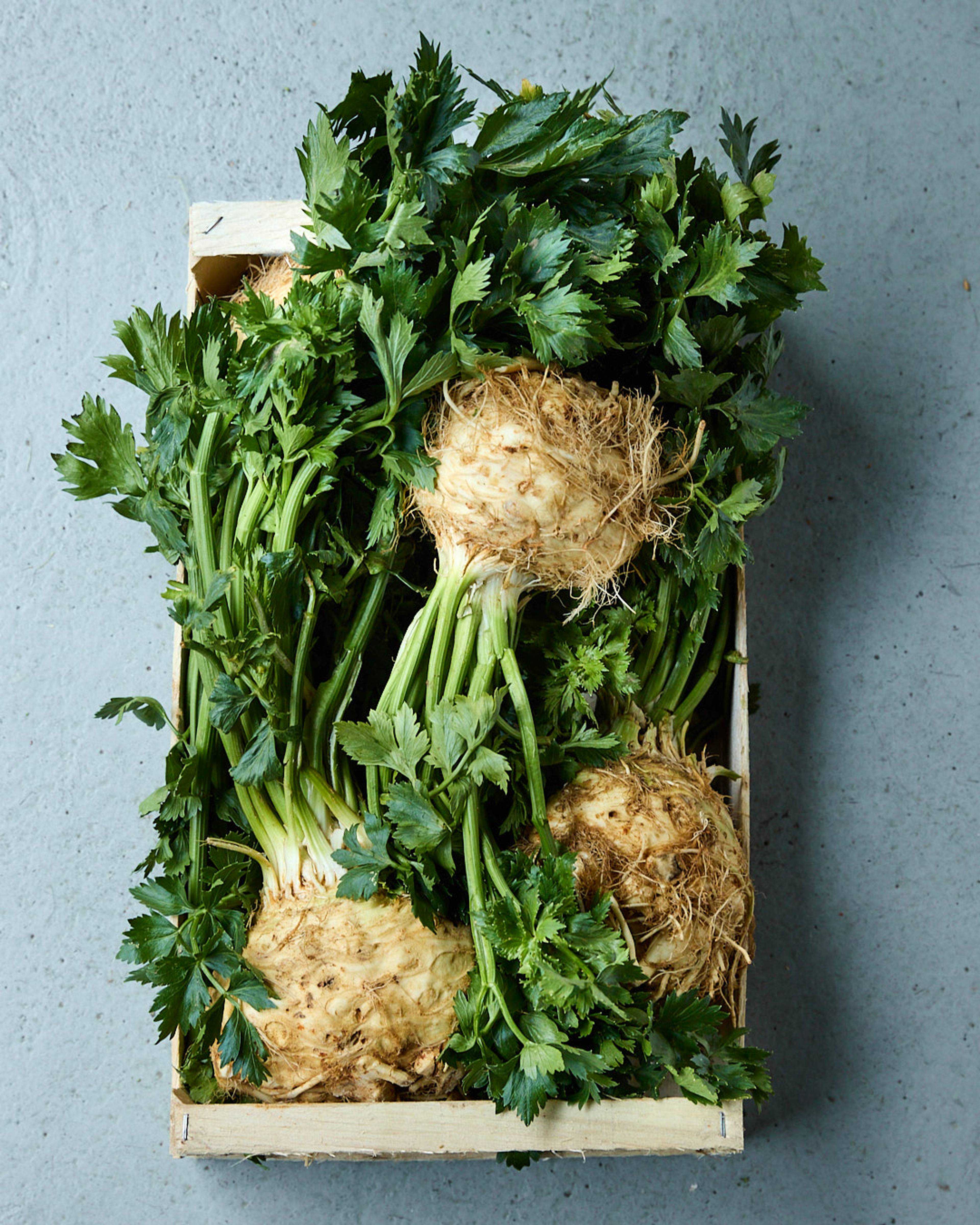 Season planner image