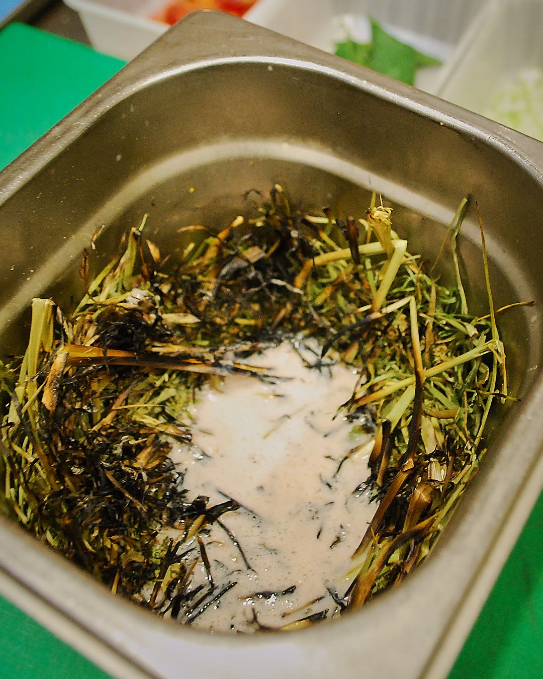 Images with caption alt text