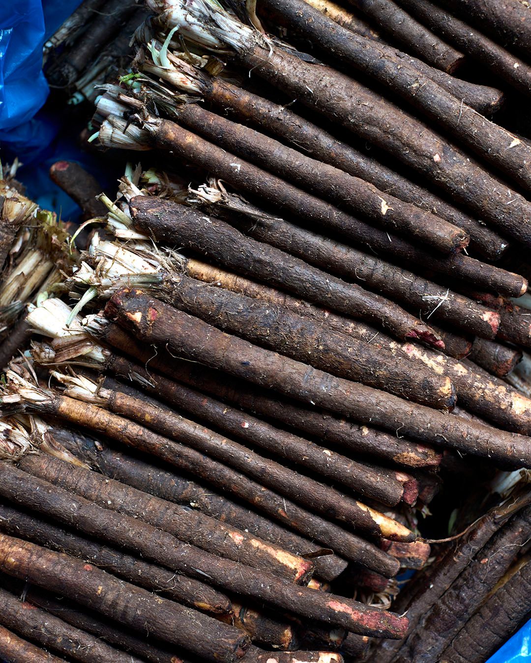 Season planner image