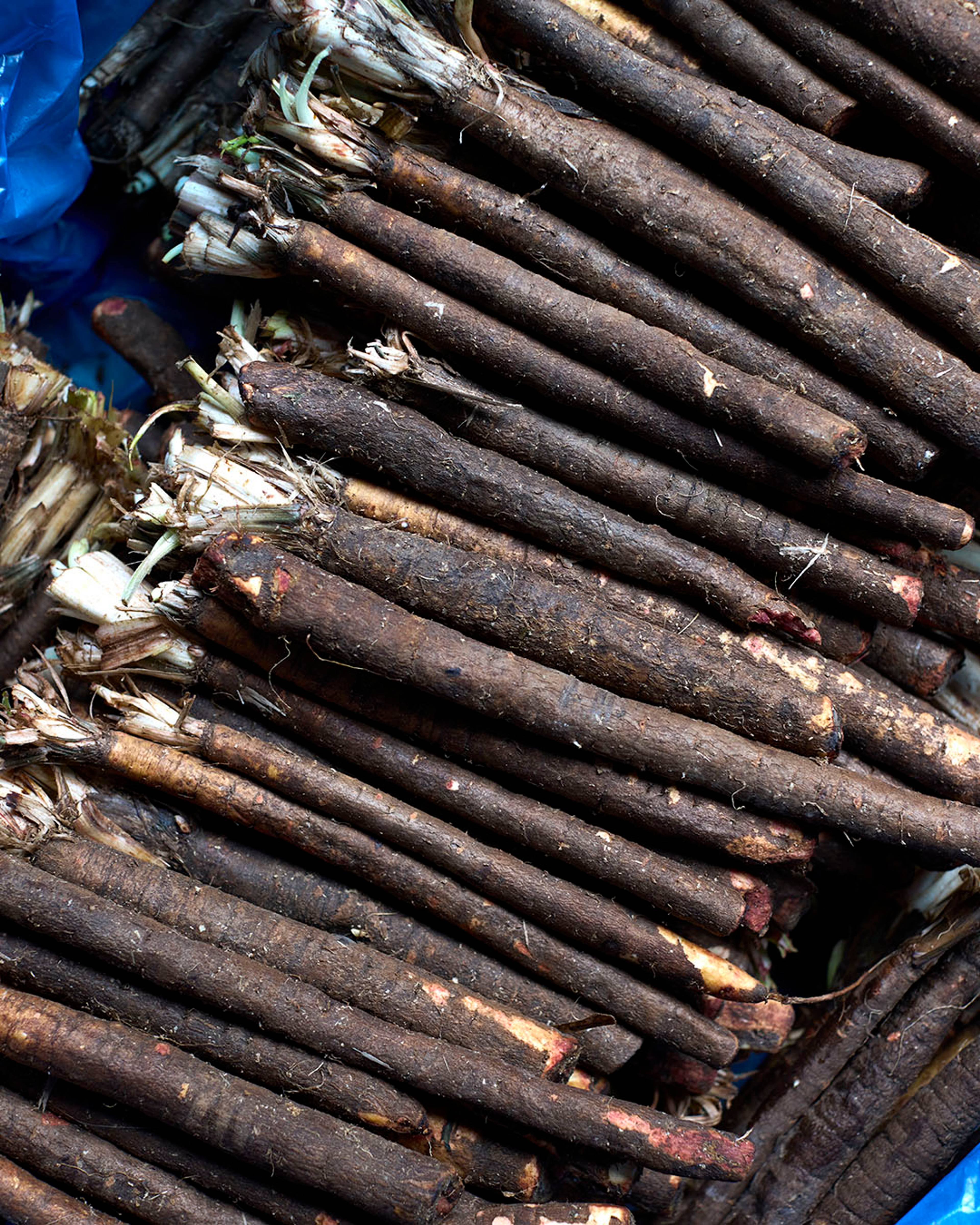 Season planner image