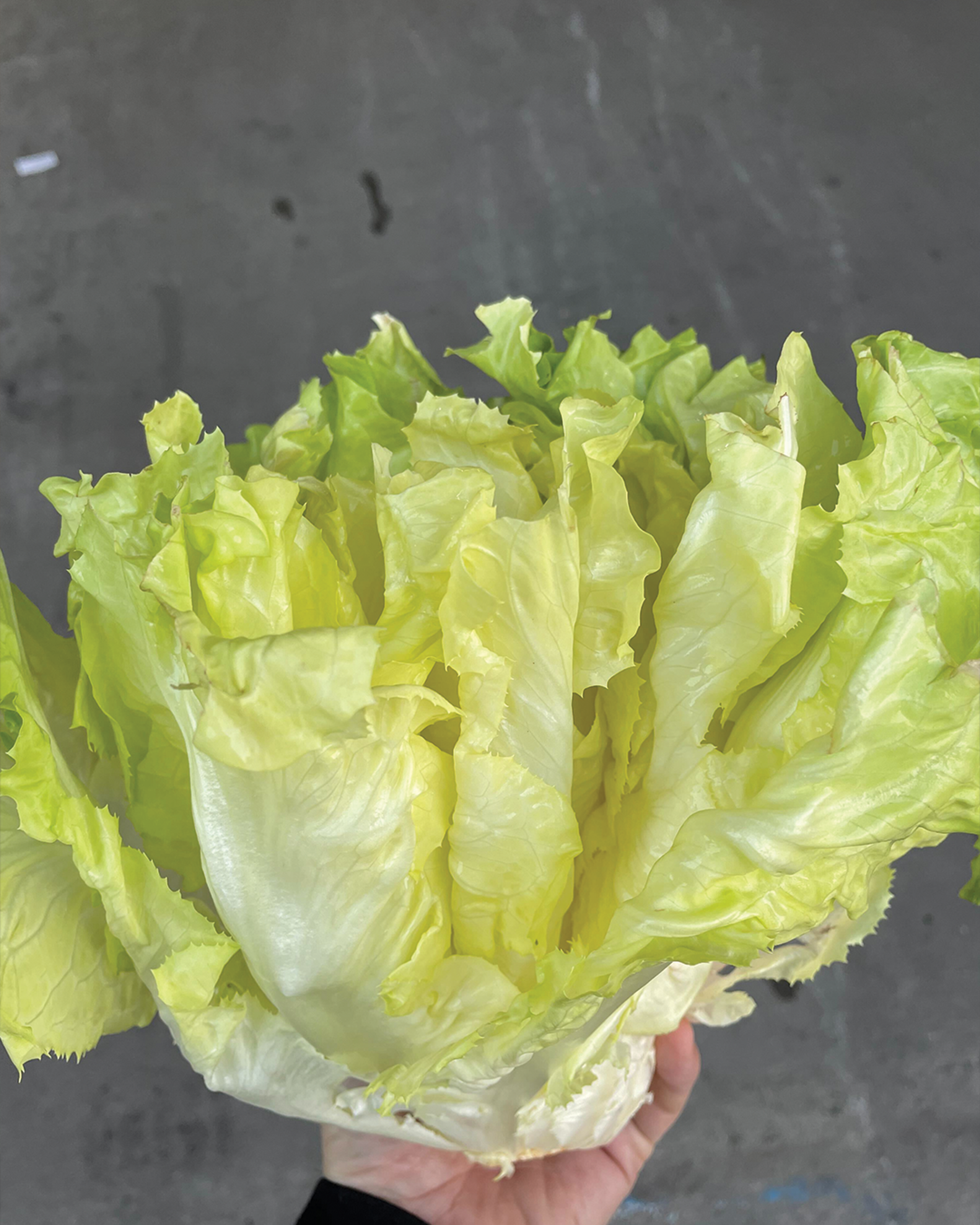 Season planner image