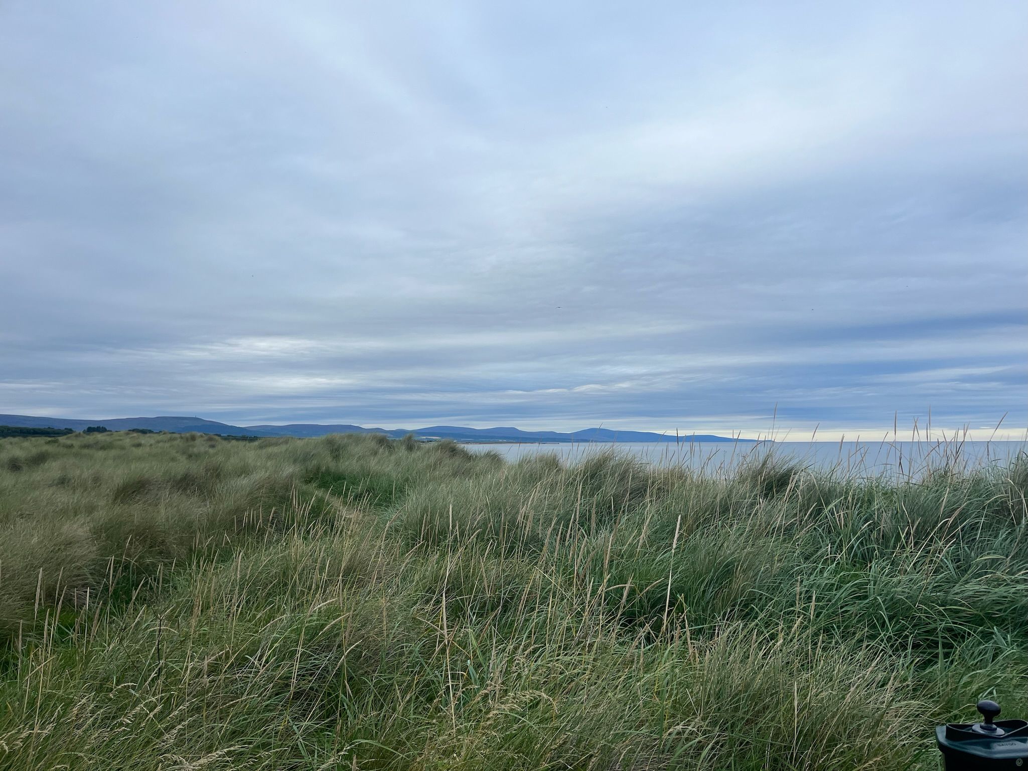 Stay out of the gorse
