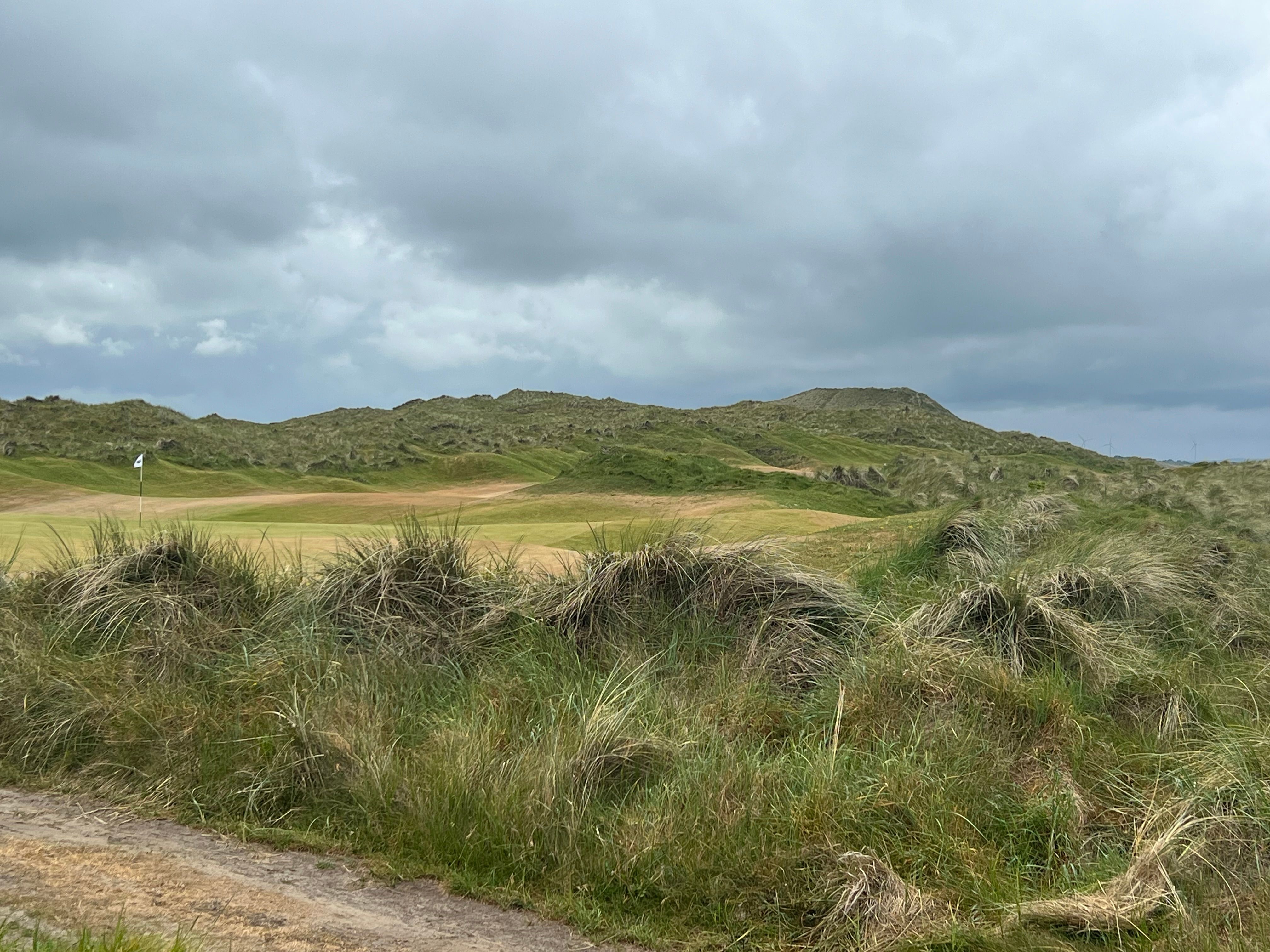 Wonderful gorse and heather