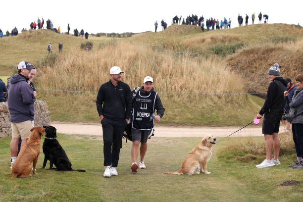 Dogs on the Links