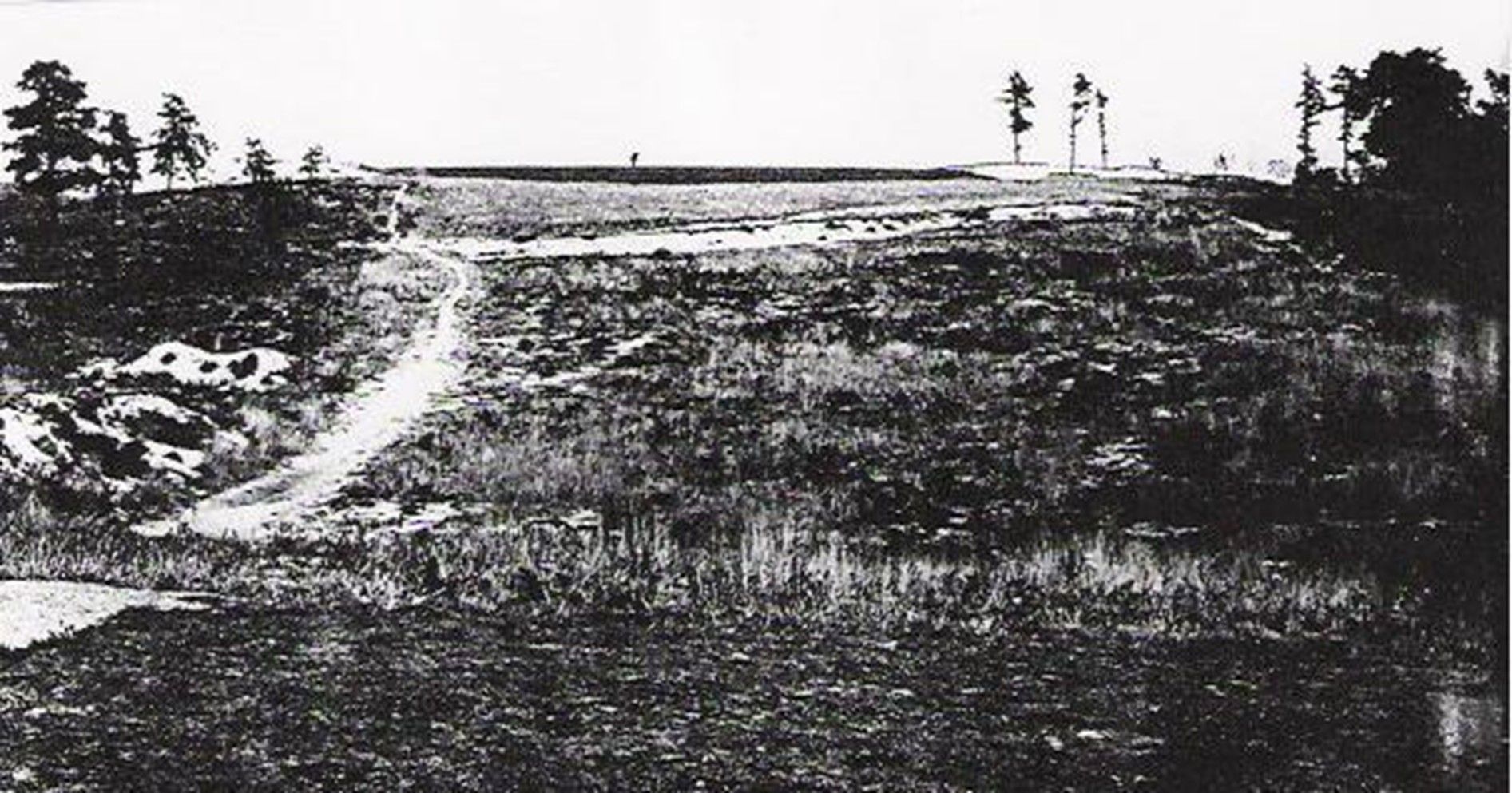 The tee shot at the fourth hole-note the relative openness.