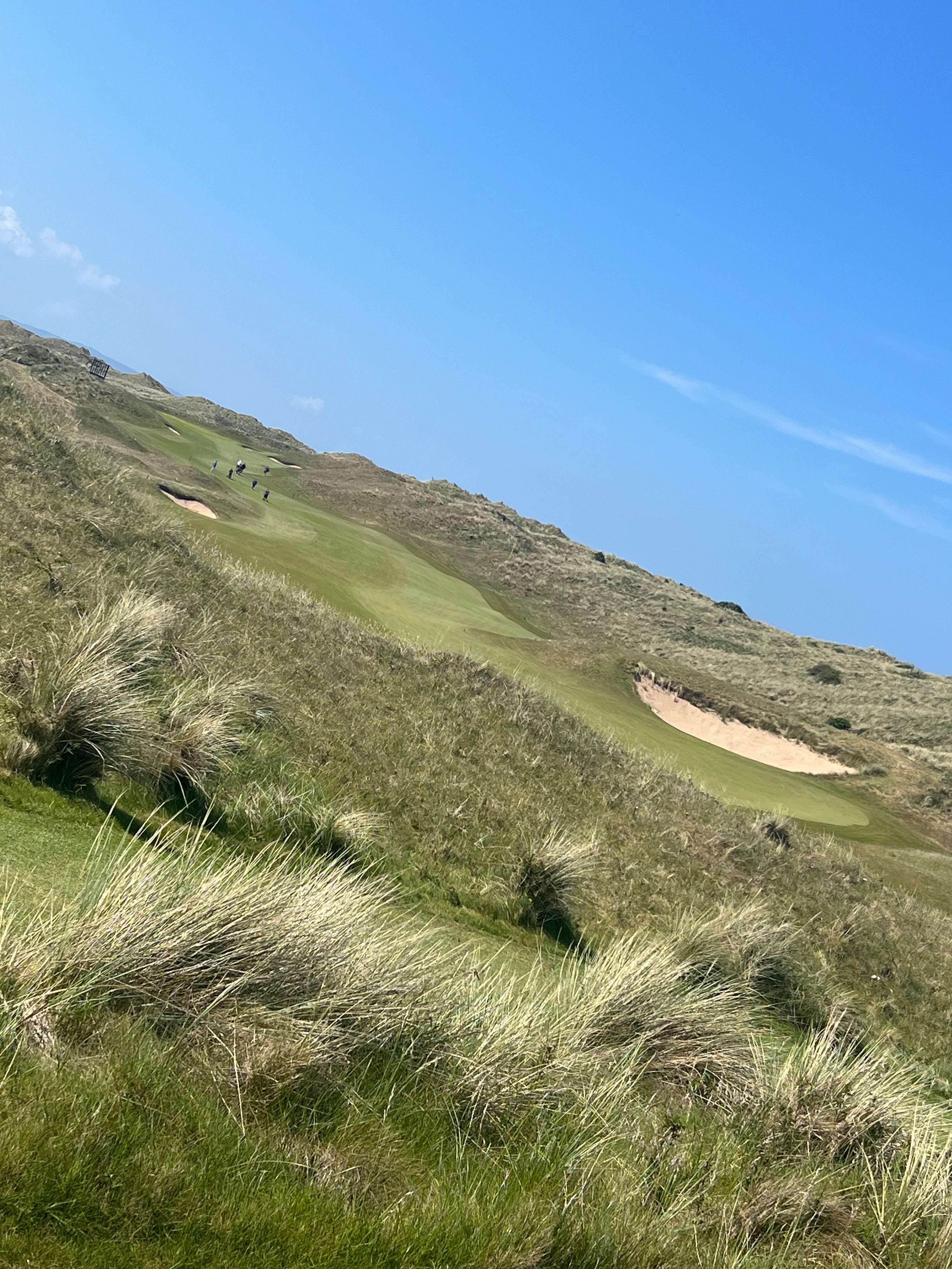 Stay out of the gorse