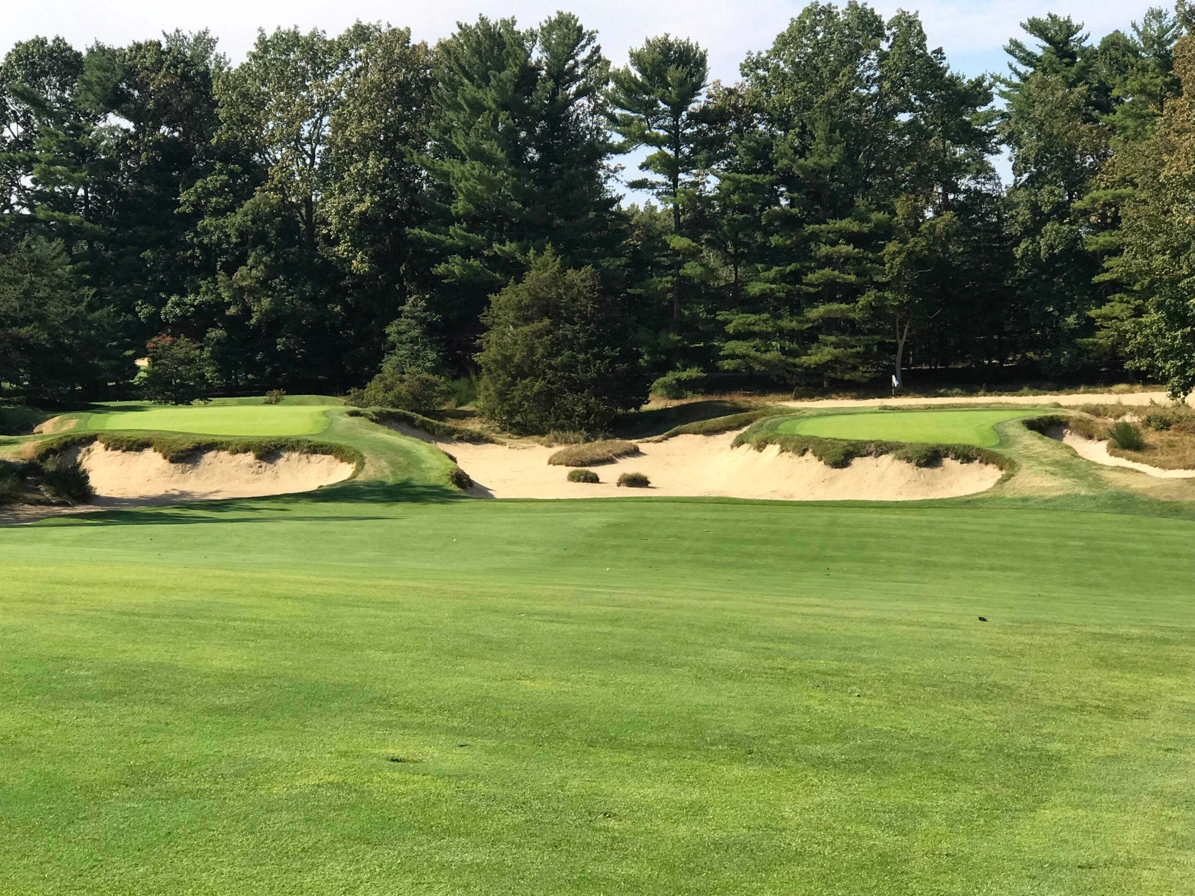 #8 double-greens, look at the small size and elevation
