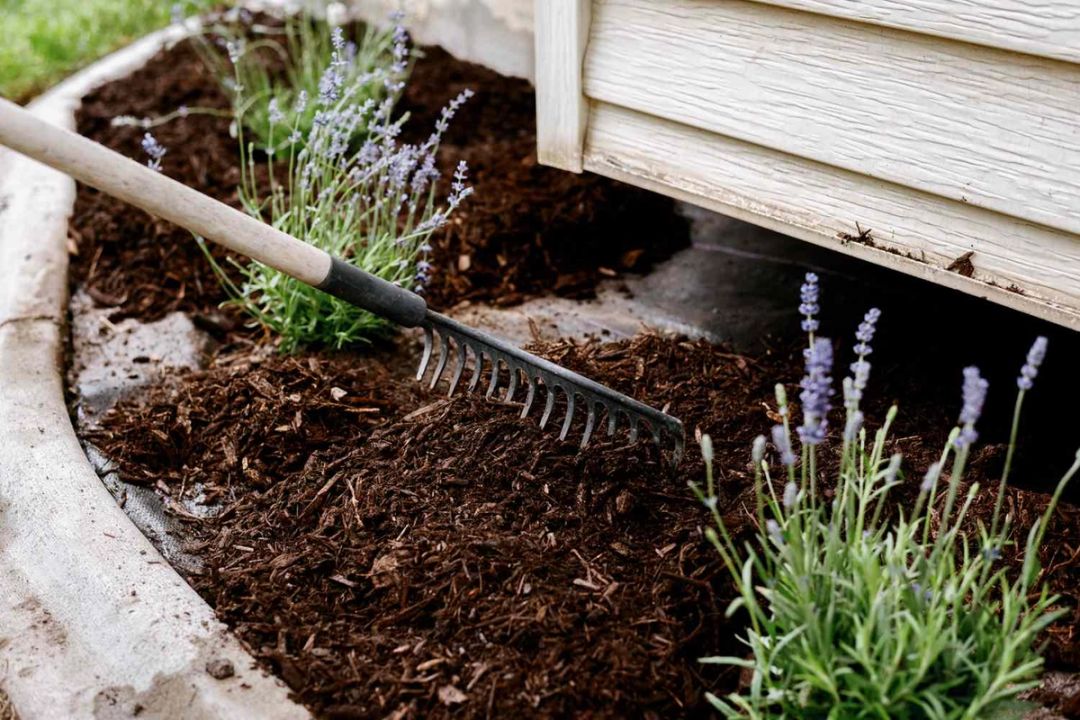 A freshly mulched garden bed at the edge of a residential lawn