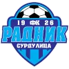 Radnik logo