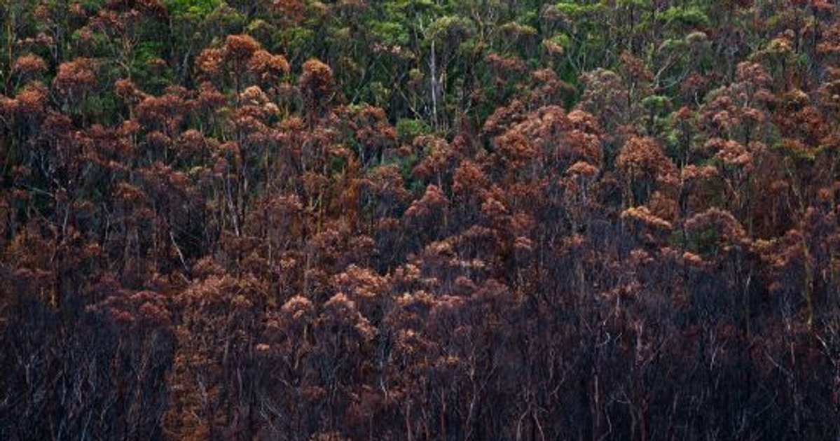 The landscape architect and climate change – Journal – Uncommon Land