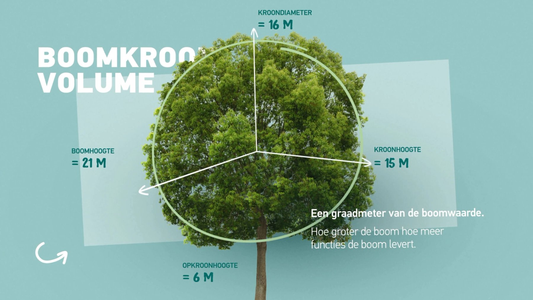 Bomennorm