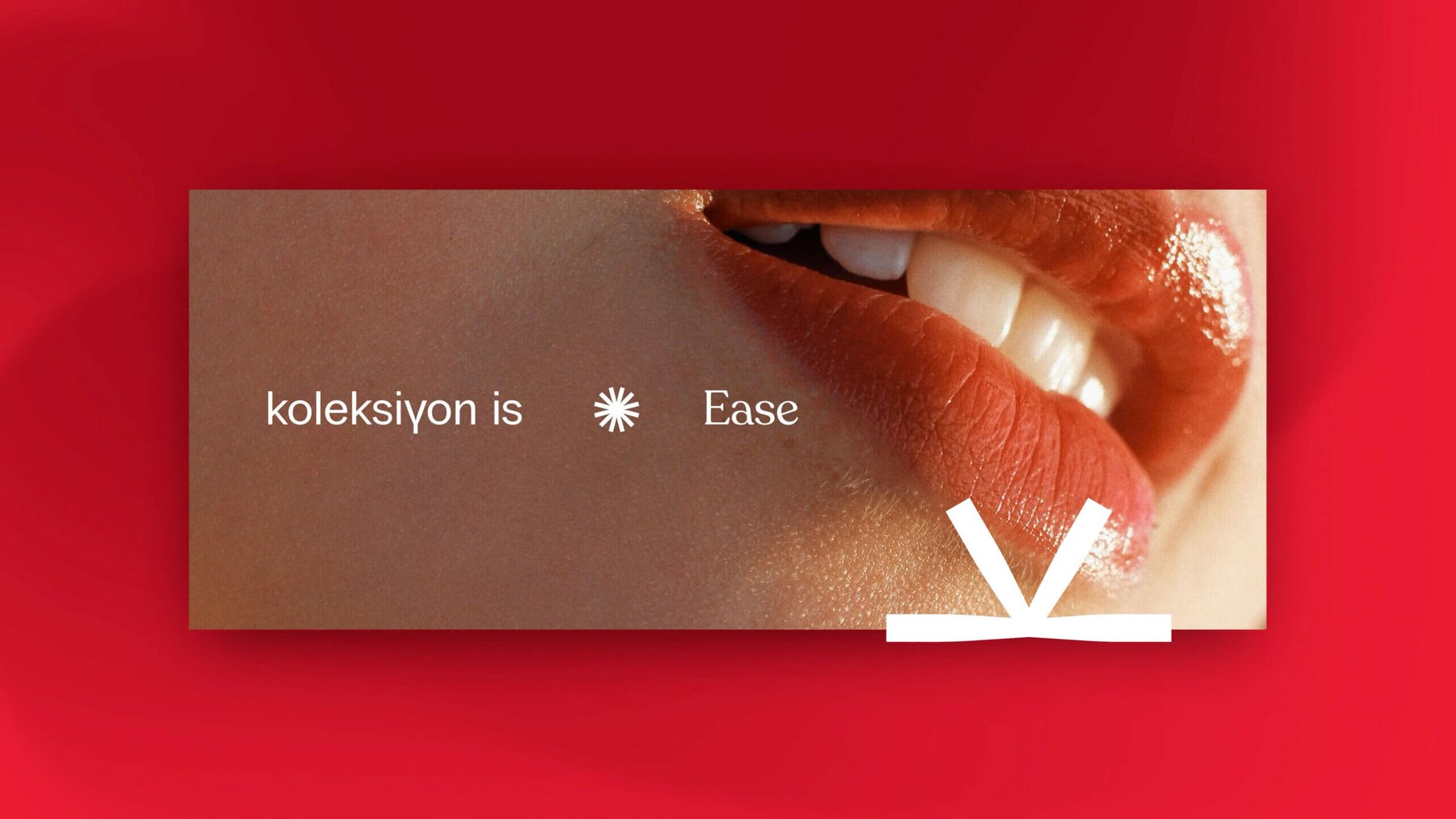 Koleksiyon