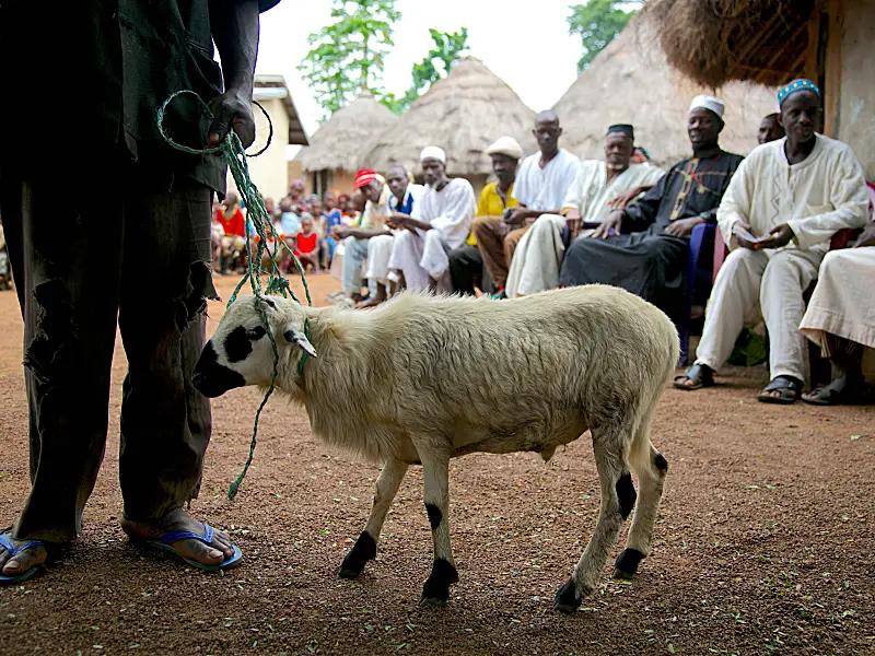 The Spiritual Code of Sacrifice