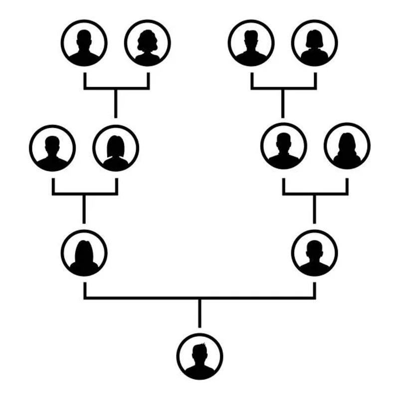 Power of Lineage