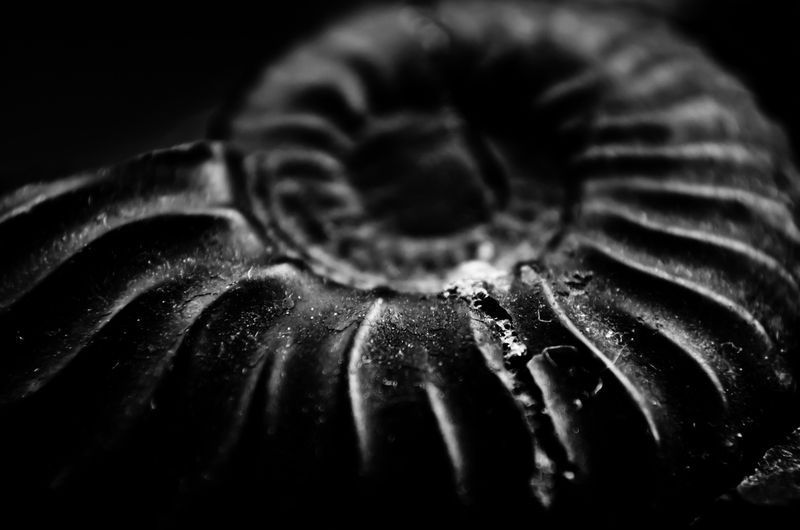 Ancestral Power and Synchronicity