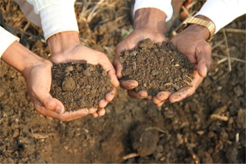 The Spiritual Significance of Soil, Death Rituals, and the Ancestral Connection