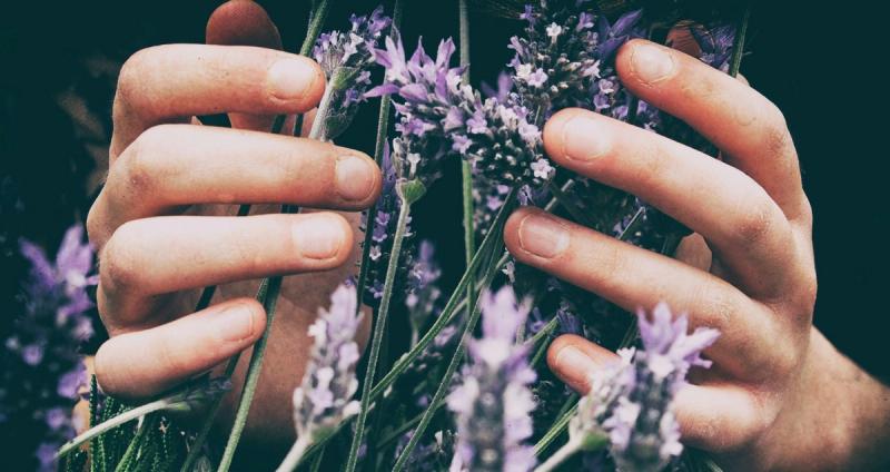 The Spiritual Power of Plants and Minerals