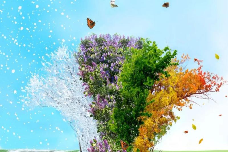 Seasonal Transitions & Spiritual Cleansing