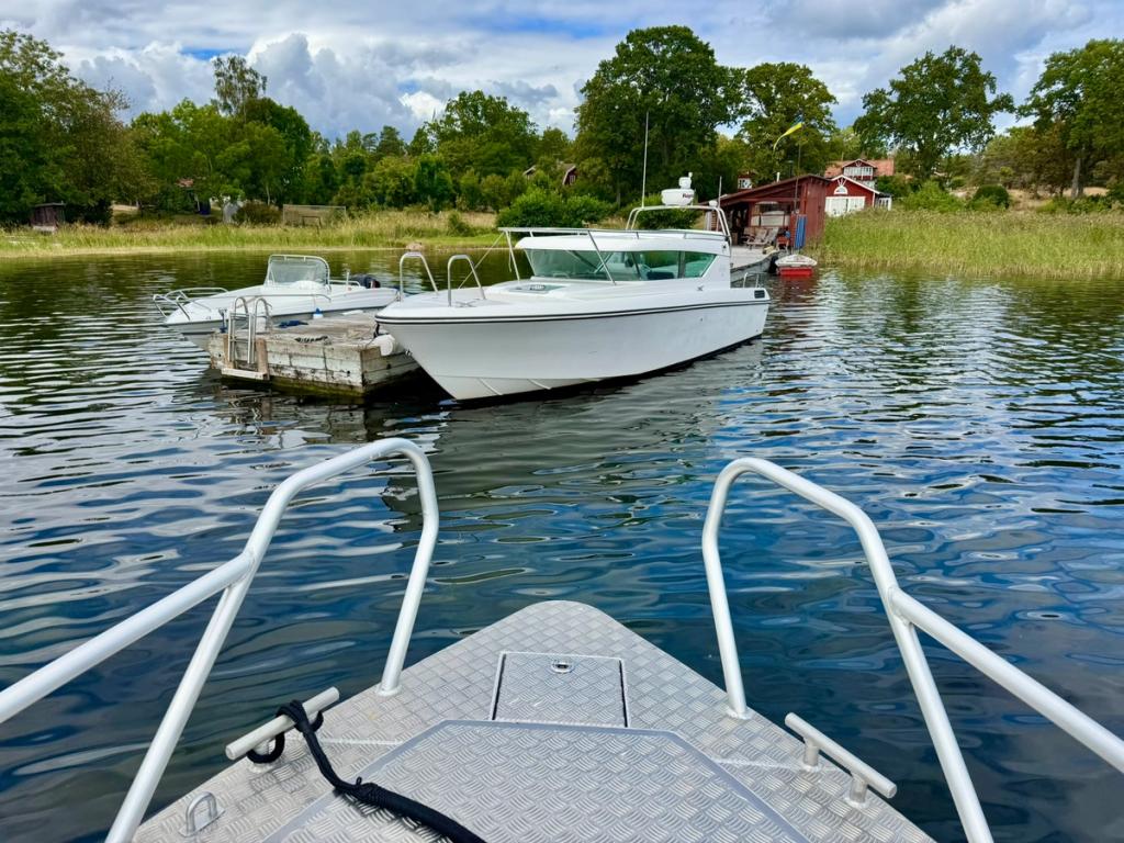 Delta 29