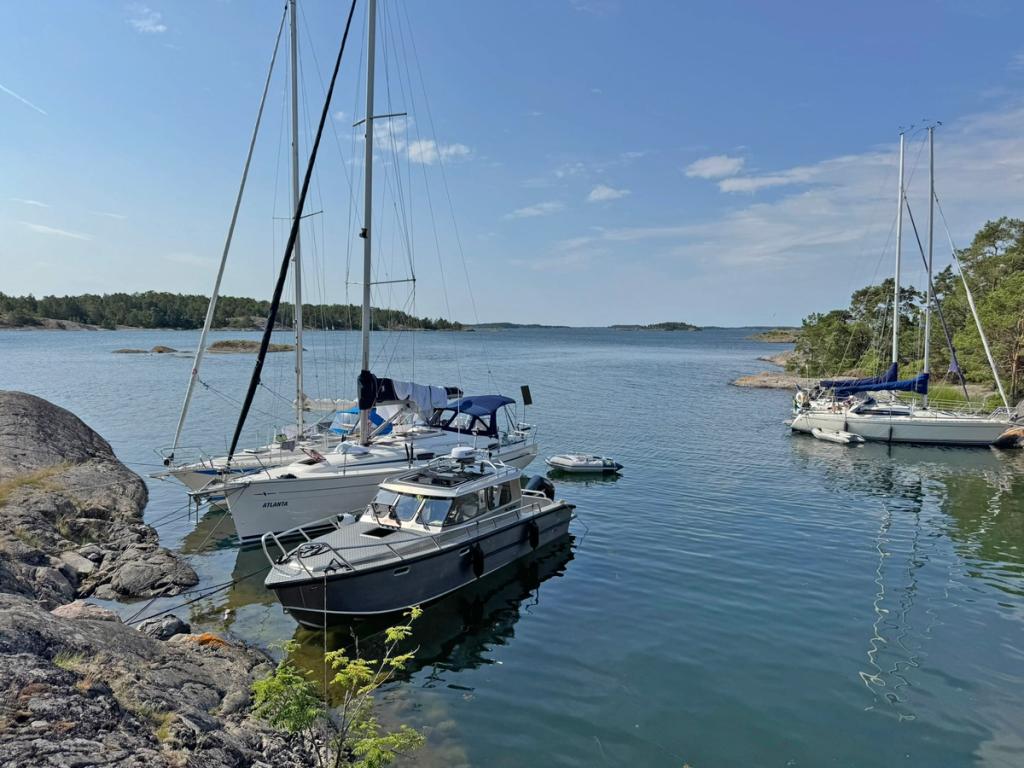 Flanör förtöjd i en naturhamn bredvid segelbåtar i sommarkvällen.