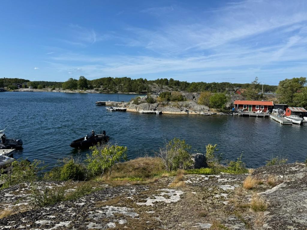 Utsikt från berghällen över en vik med röda sjöbodar, bryggor och förtöjda båtar.