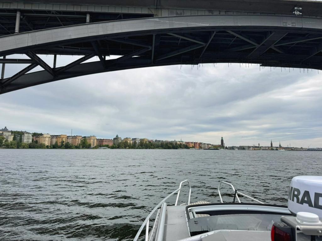 Flanör på Riddarfjärden