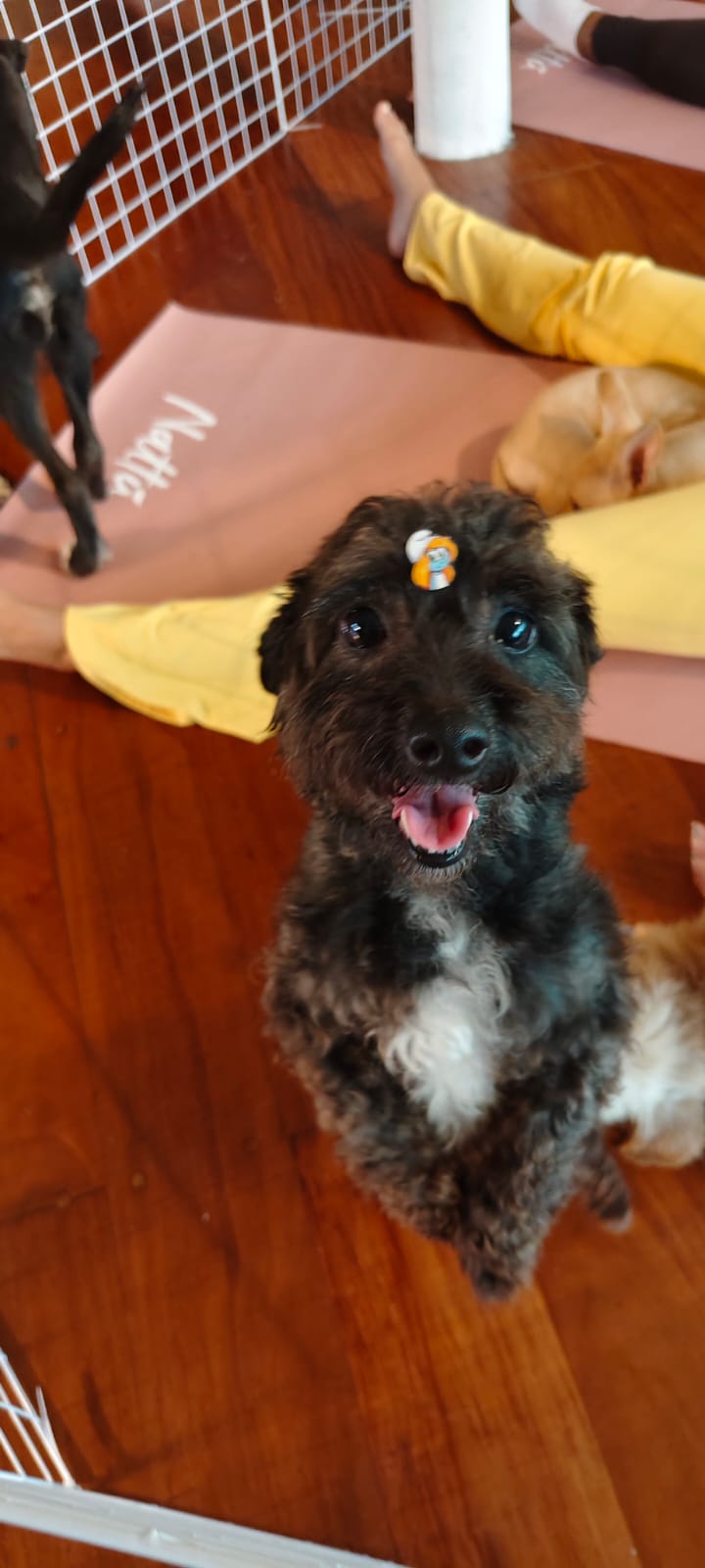 Luna