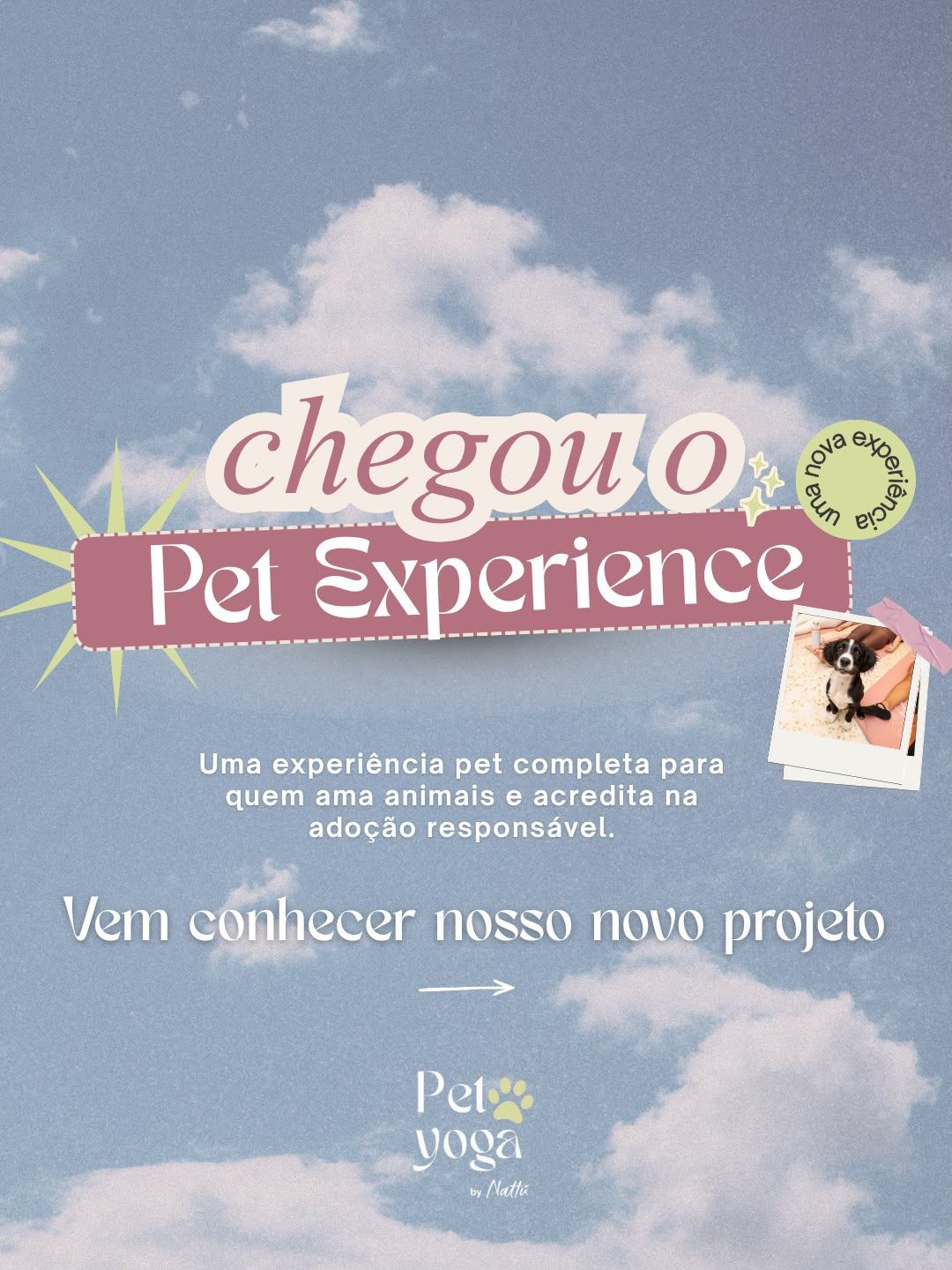 Pet Exprience - Pet Yoga RJ