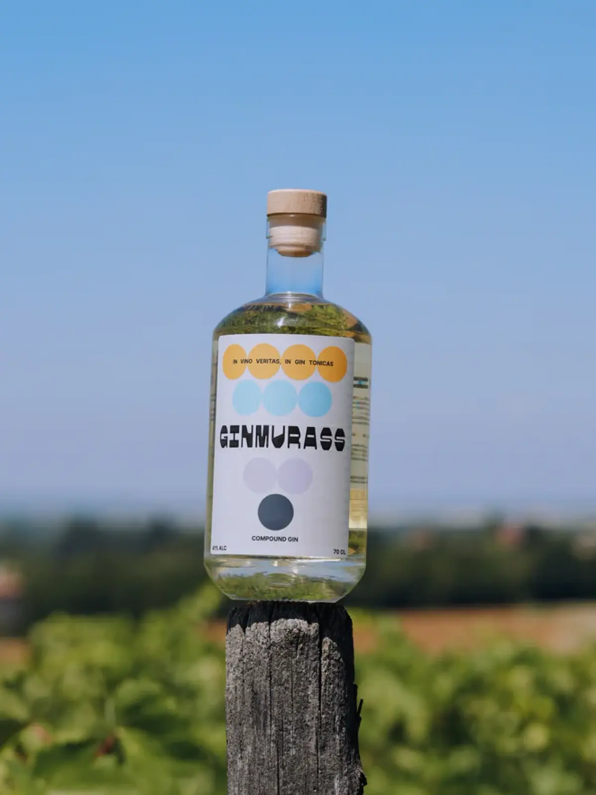 Ginmurass — immagine 6
