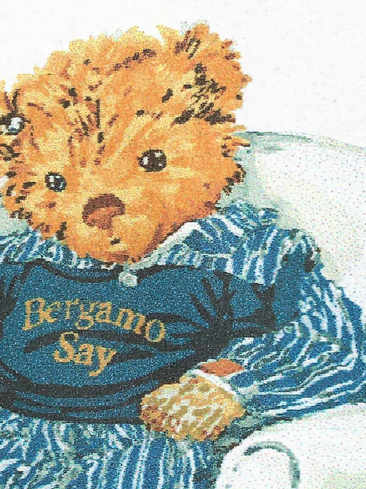 Bergamo Say Bear Collection — immagine 9