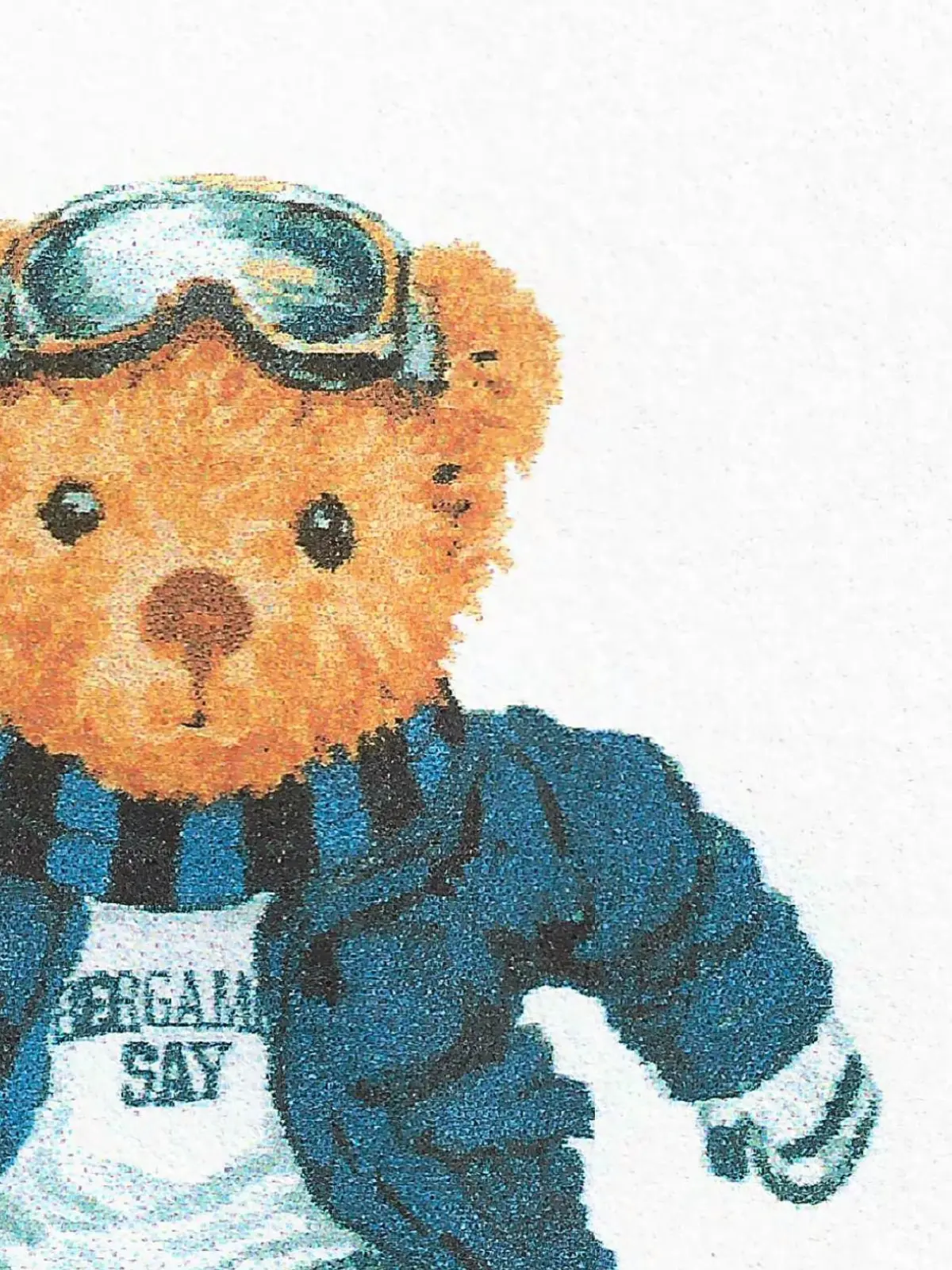 Bergamo Say Bear Collection — immagine 5