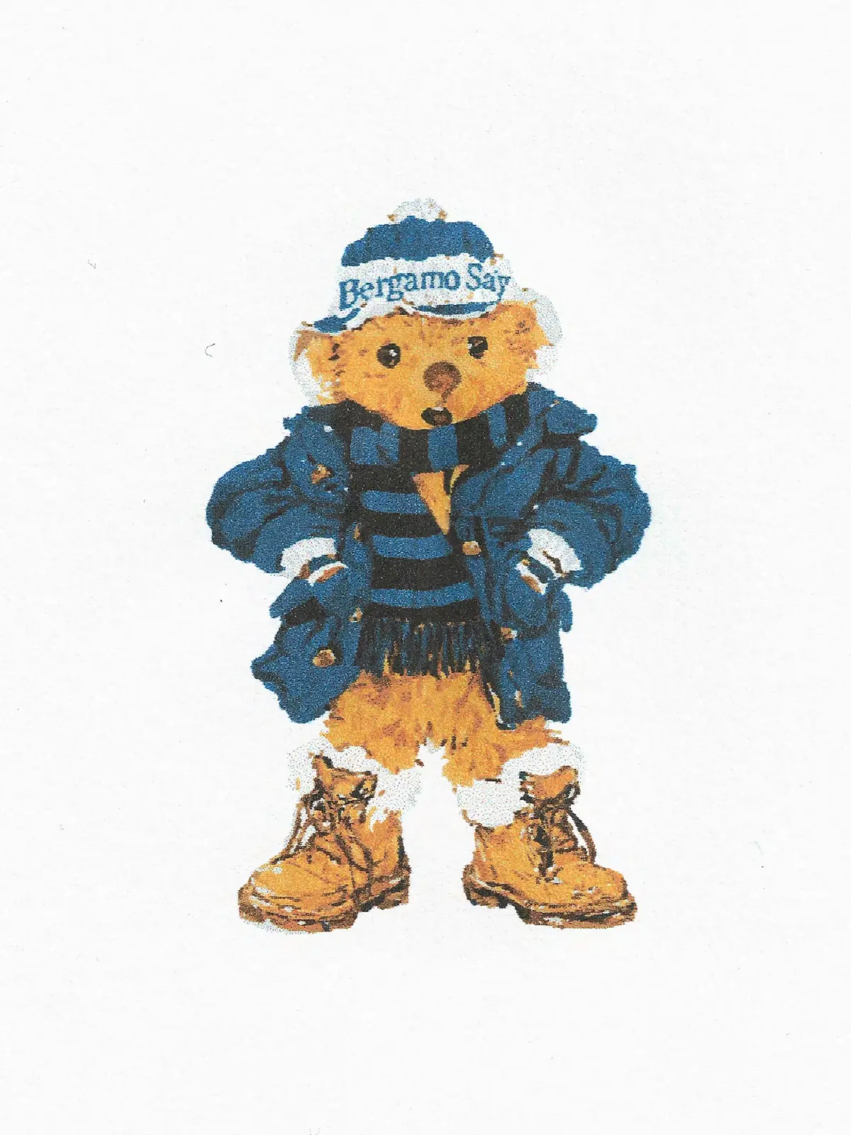 Bergamo Say Bear Collection — immagine 2