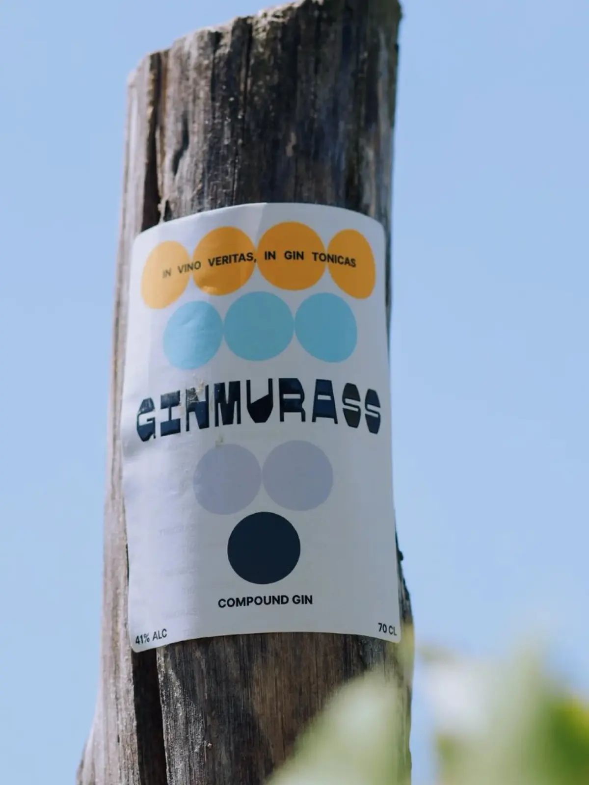 Ginmurass — immagine 7