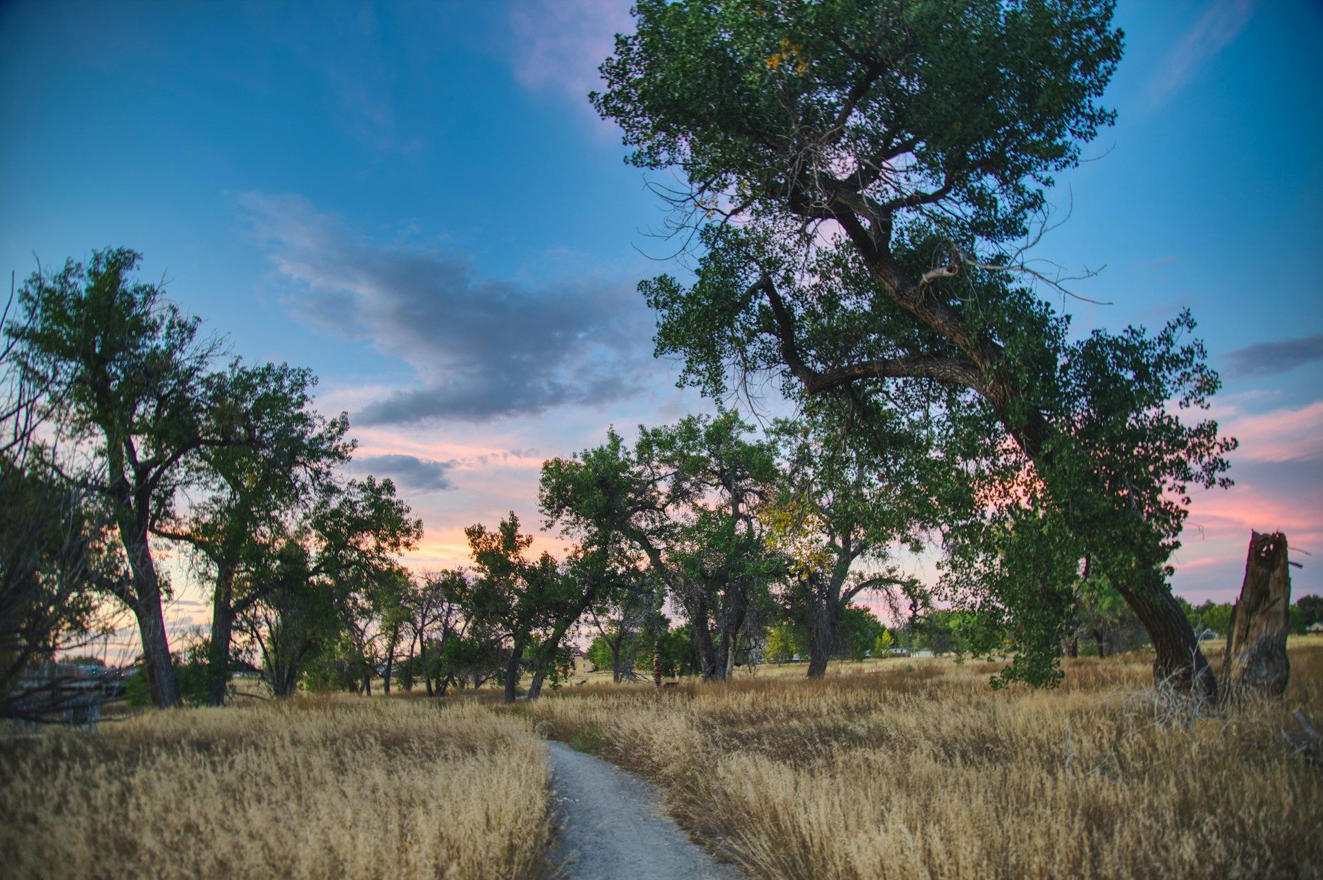 Minor path northbound to Colorado Front Range Trail in Aurora, CO