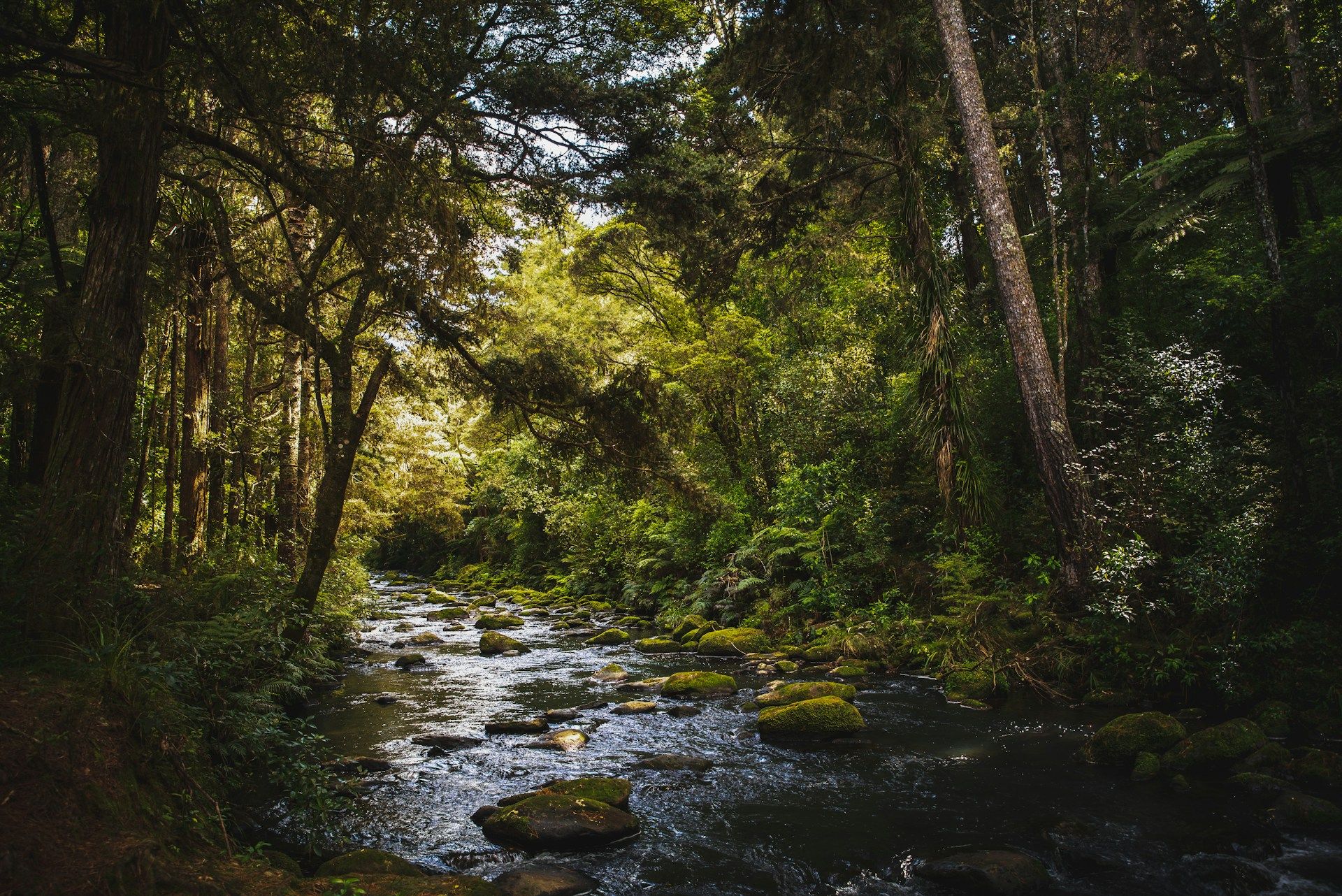 Whangarei, New Zealand