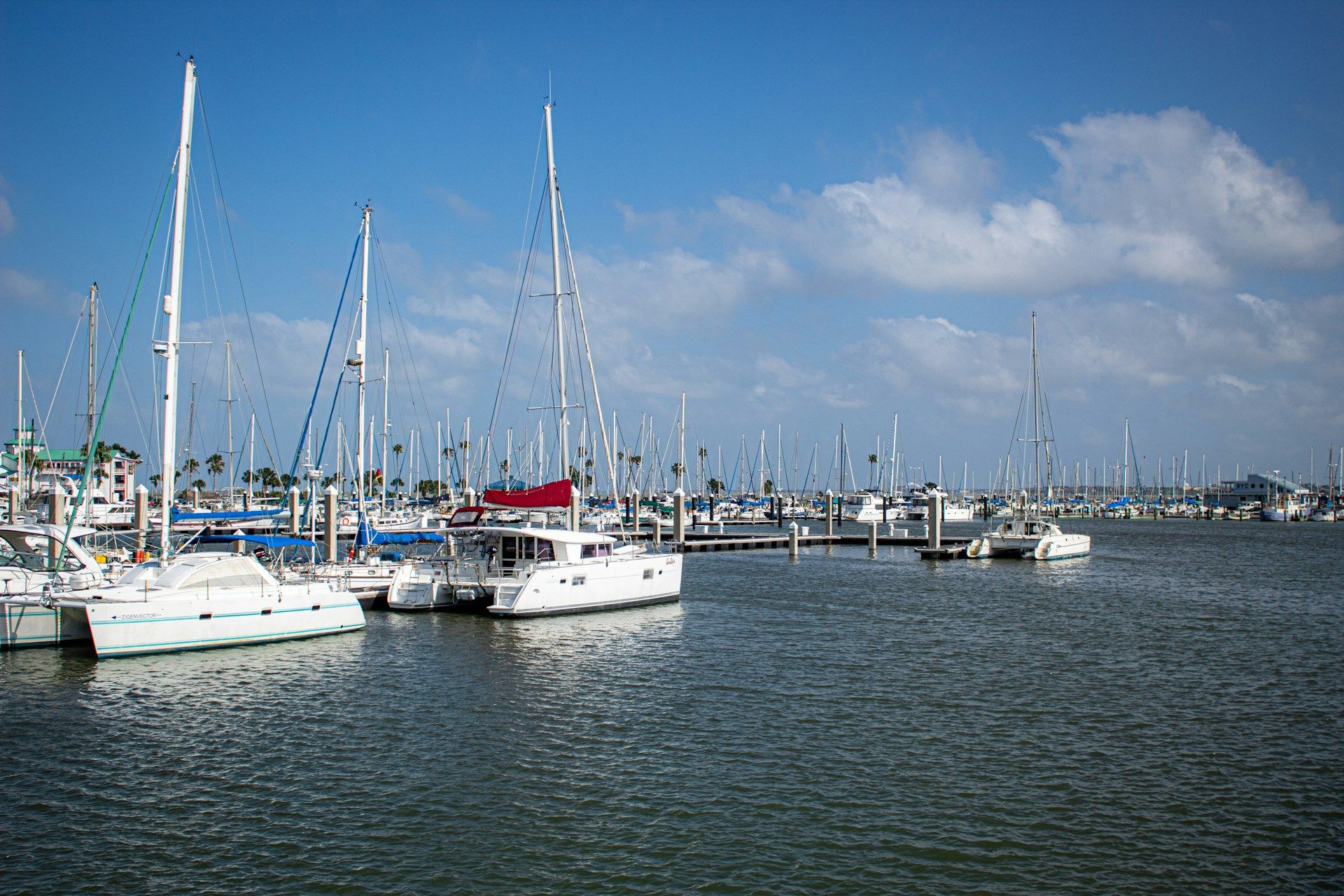 Catamarans are moored in the Corpus Christi Marina.