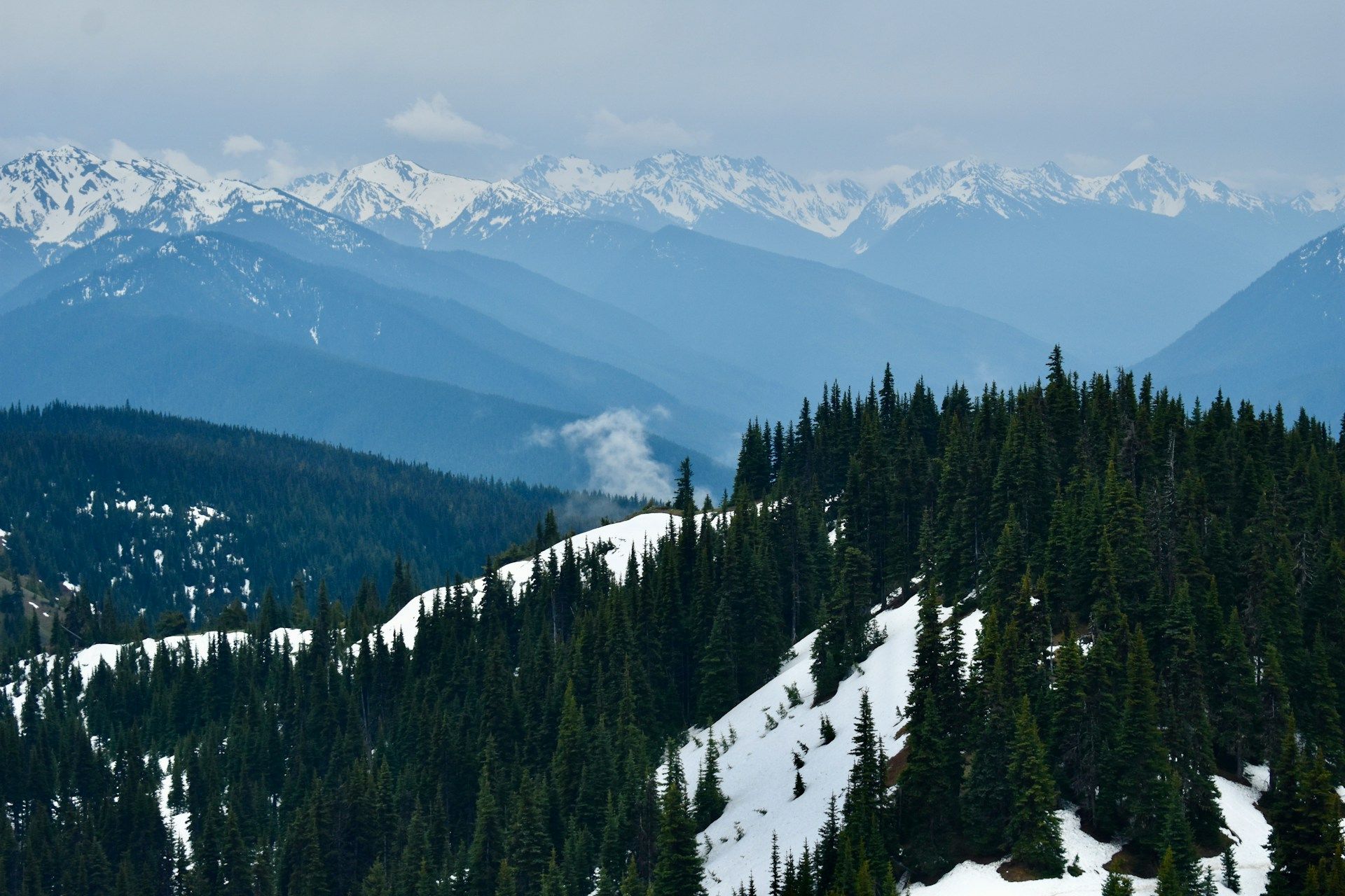 Port Angeles, Washington