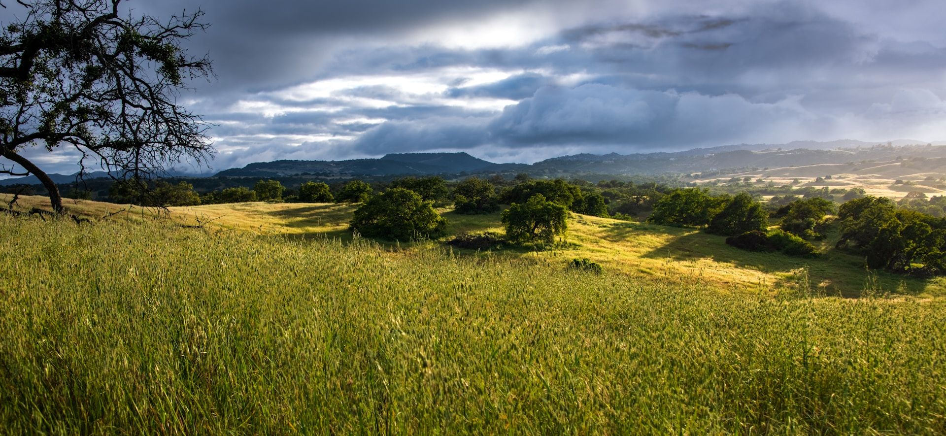 Santa Rosa Plateau, California, USA