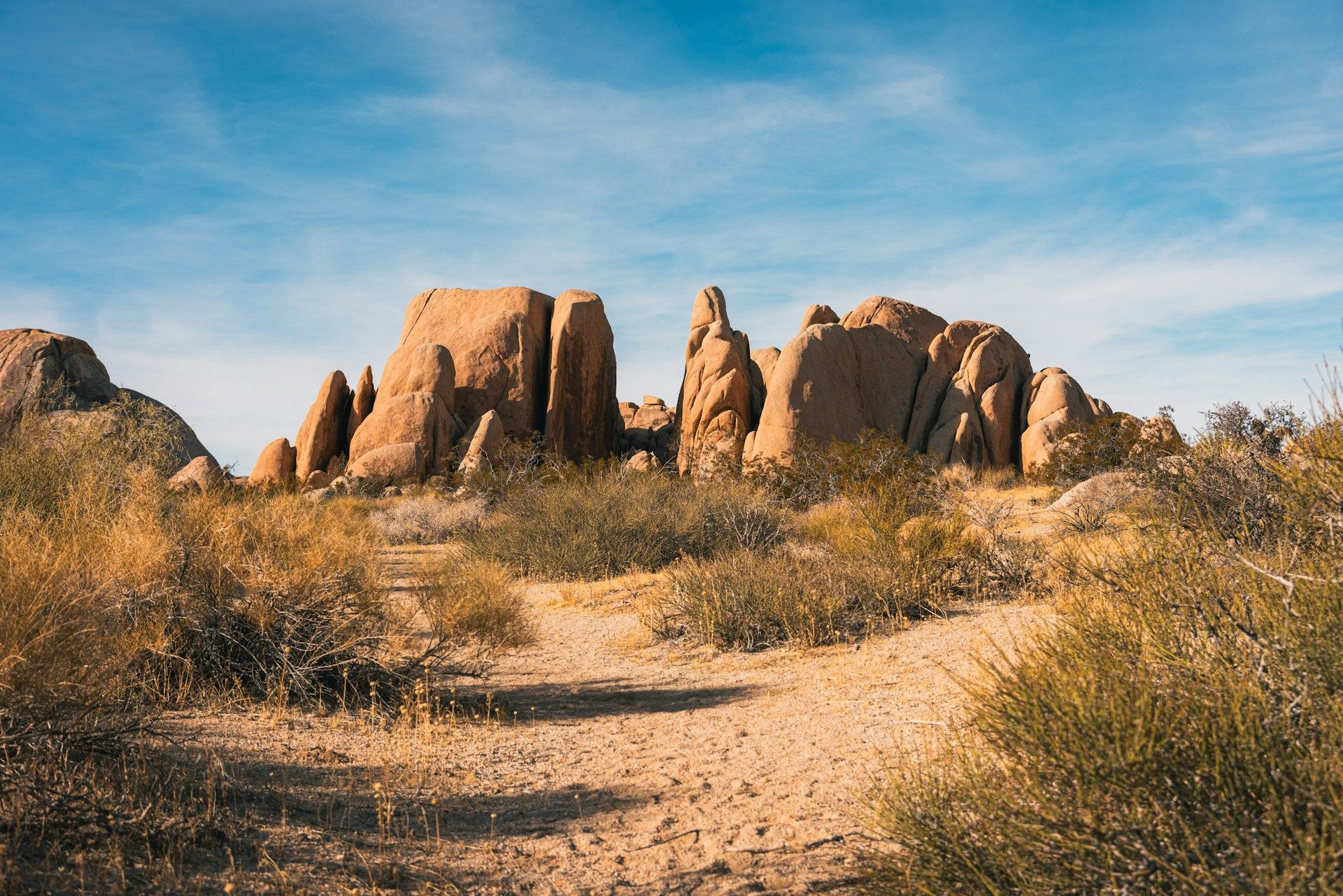 Joshua Tree, California