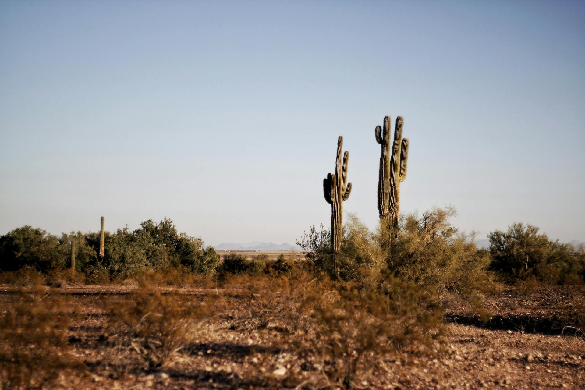 Bexar County, Texas