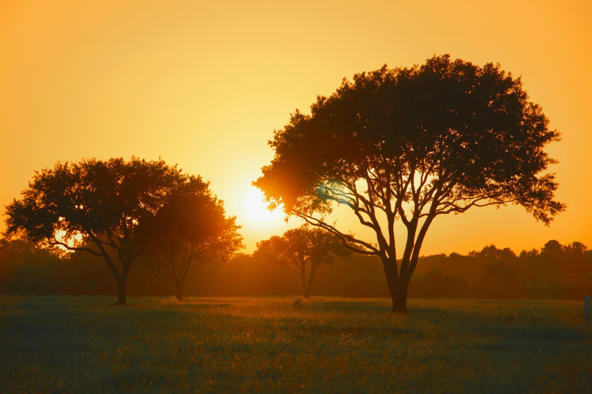 Tarrant County, Texas