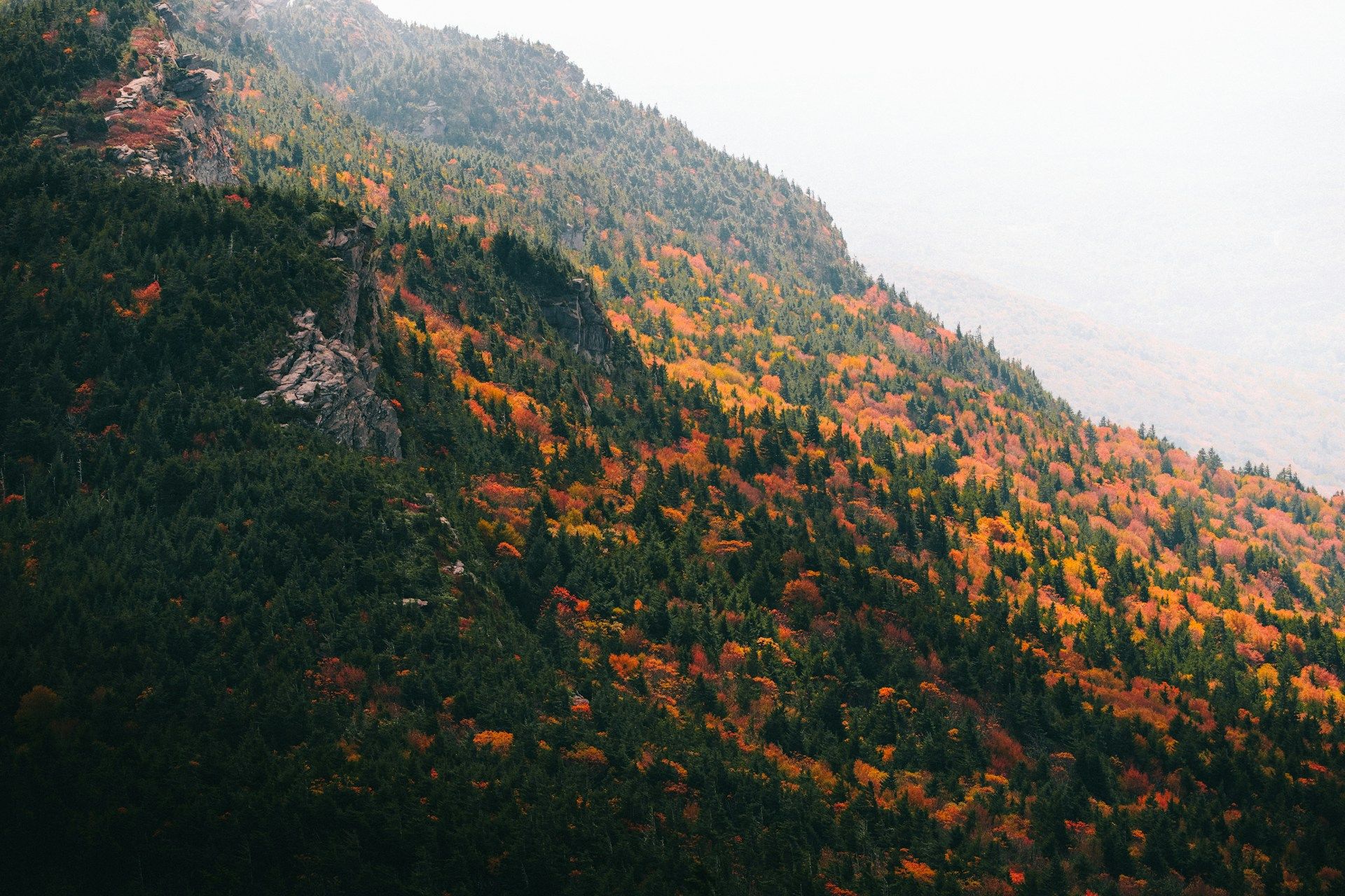 Forsyth County, North Carolina