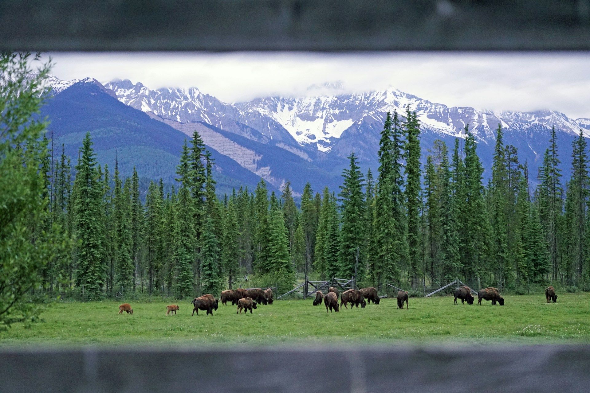 Golden, Canada