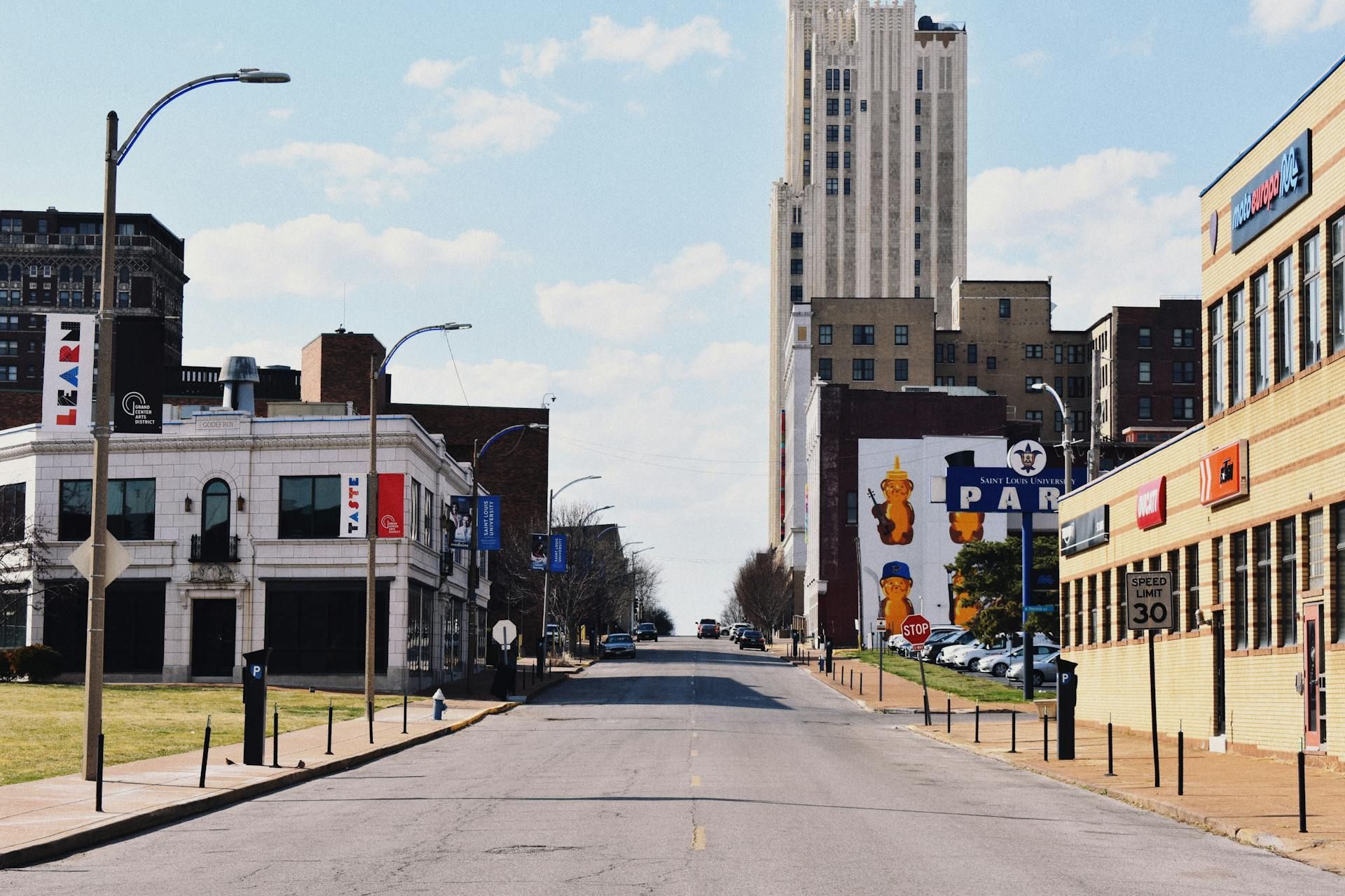 A Road in the City of St. Louis