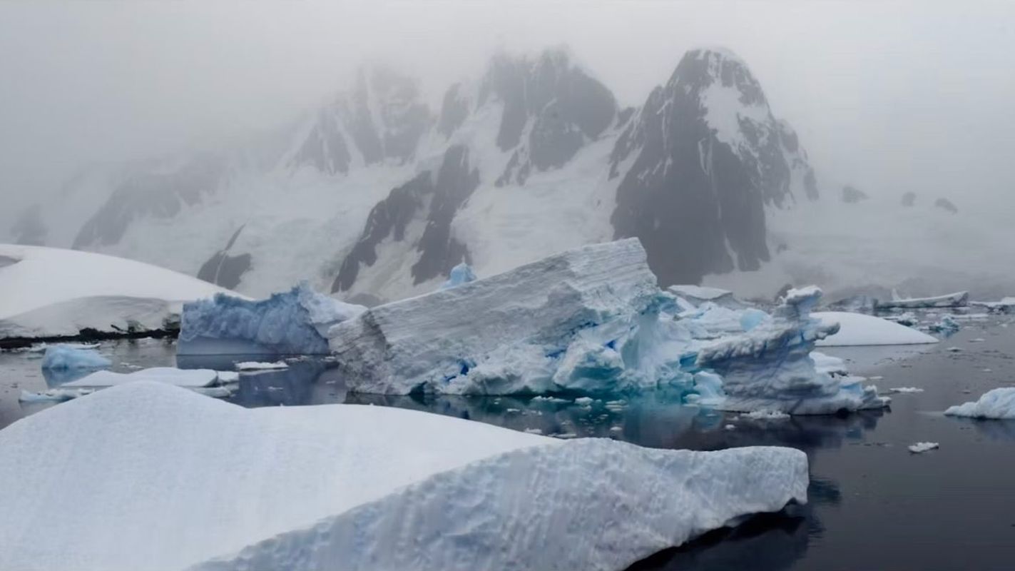 Antarctica - Chapter 1